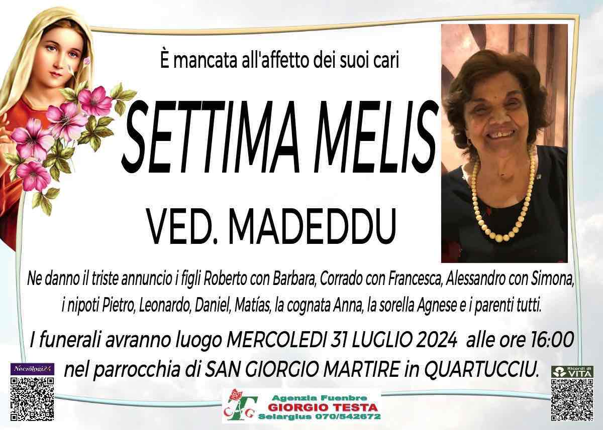 Settima Melis