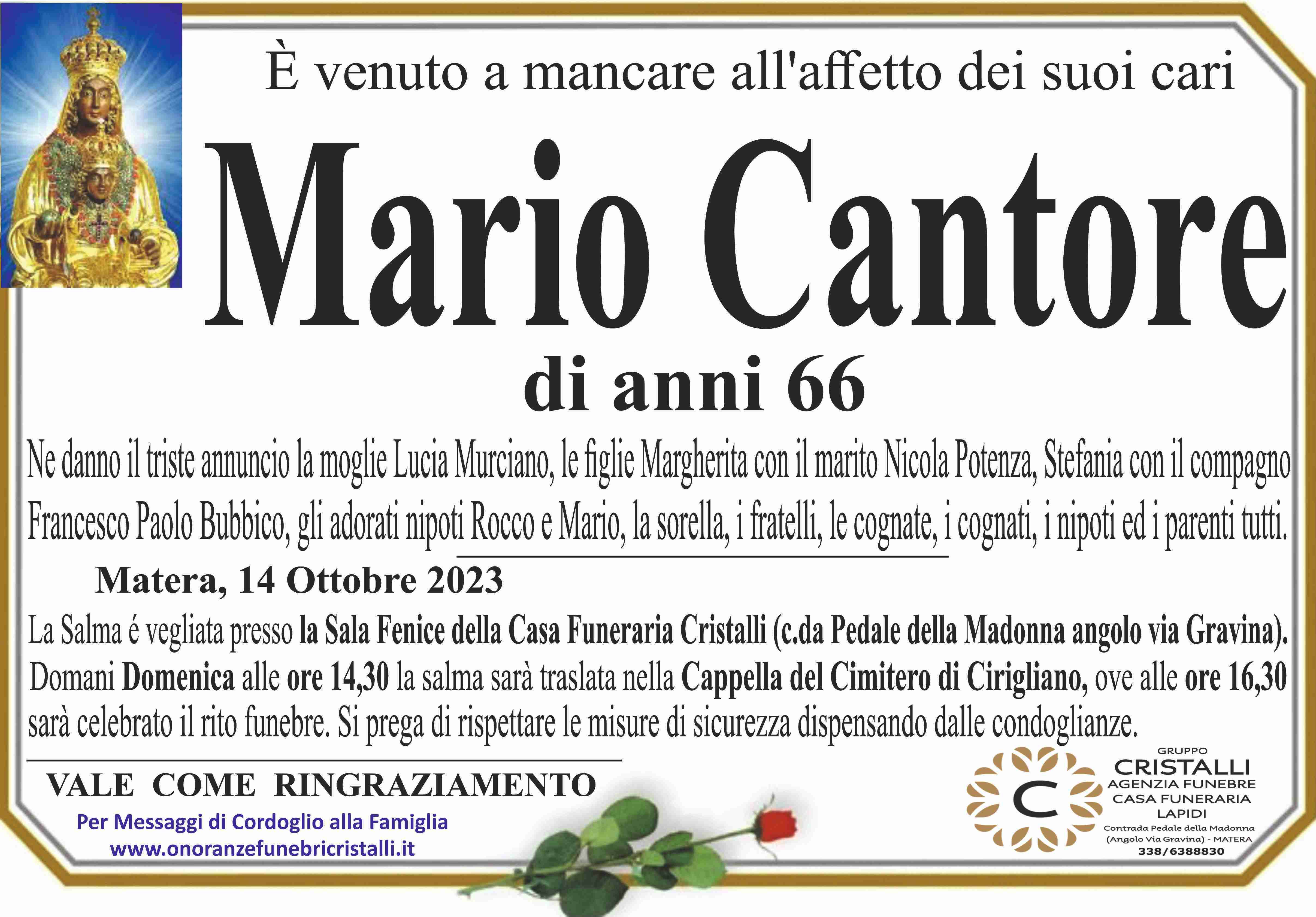 Mario Cantore
