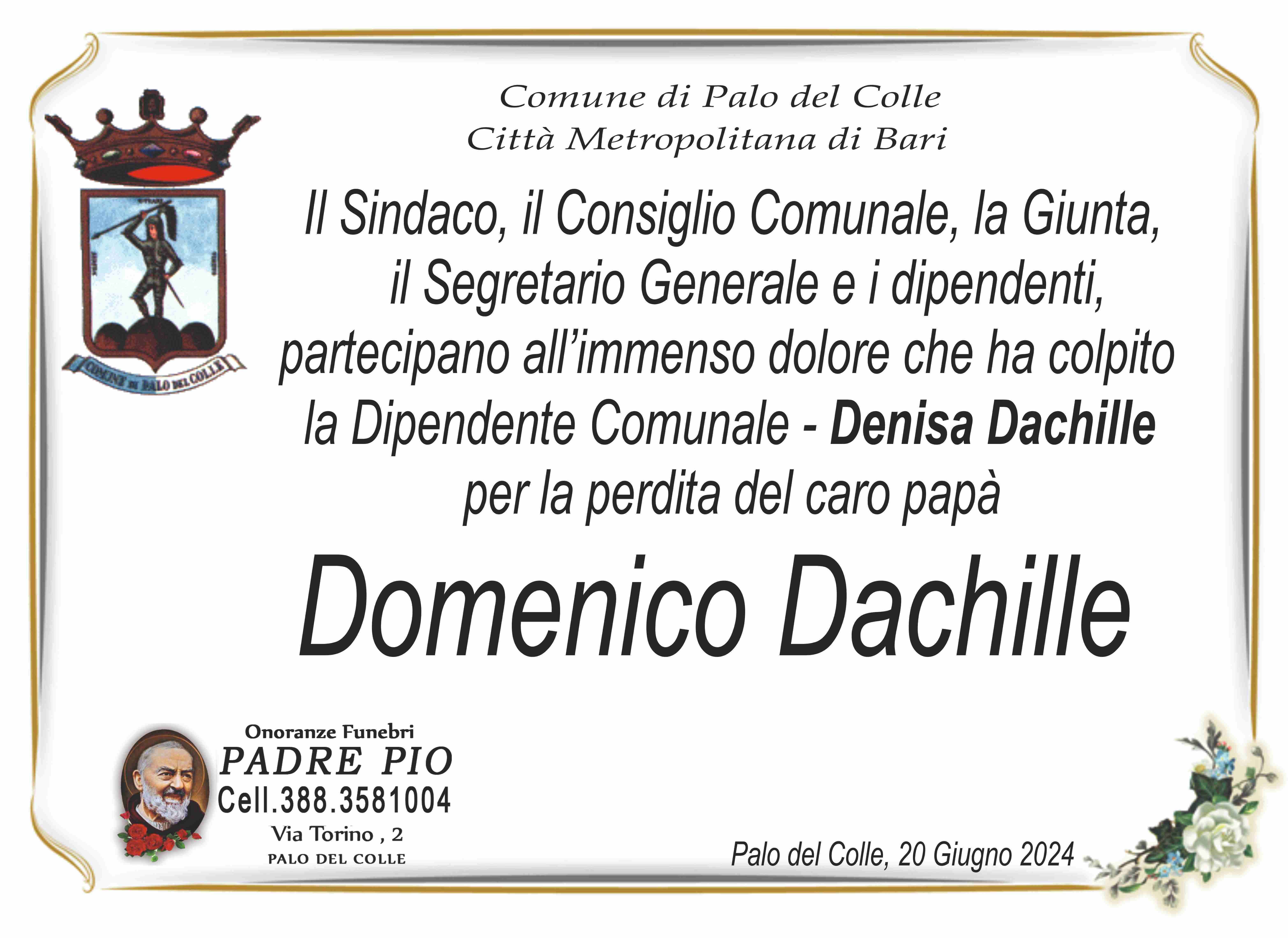 Domenico Dachille