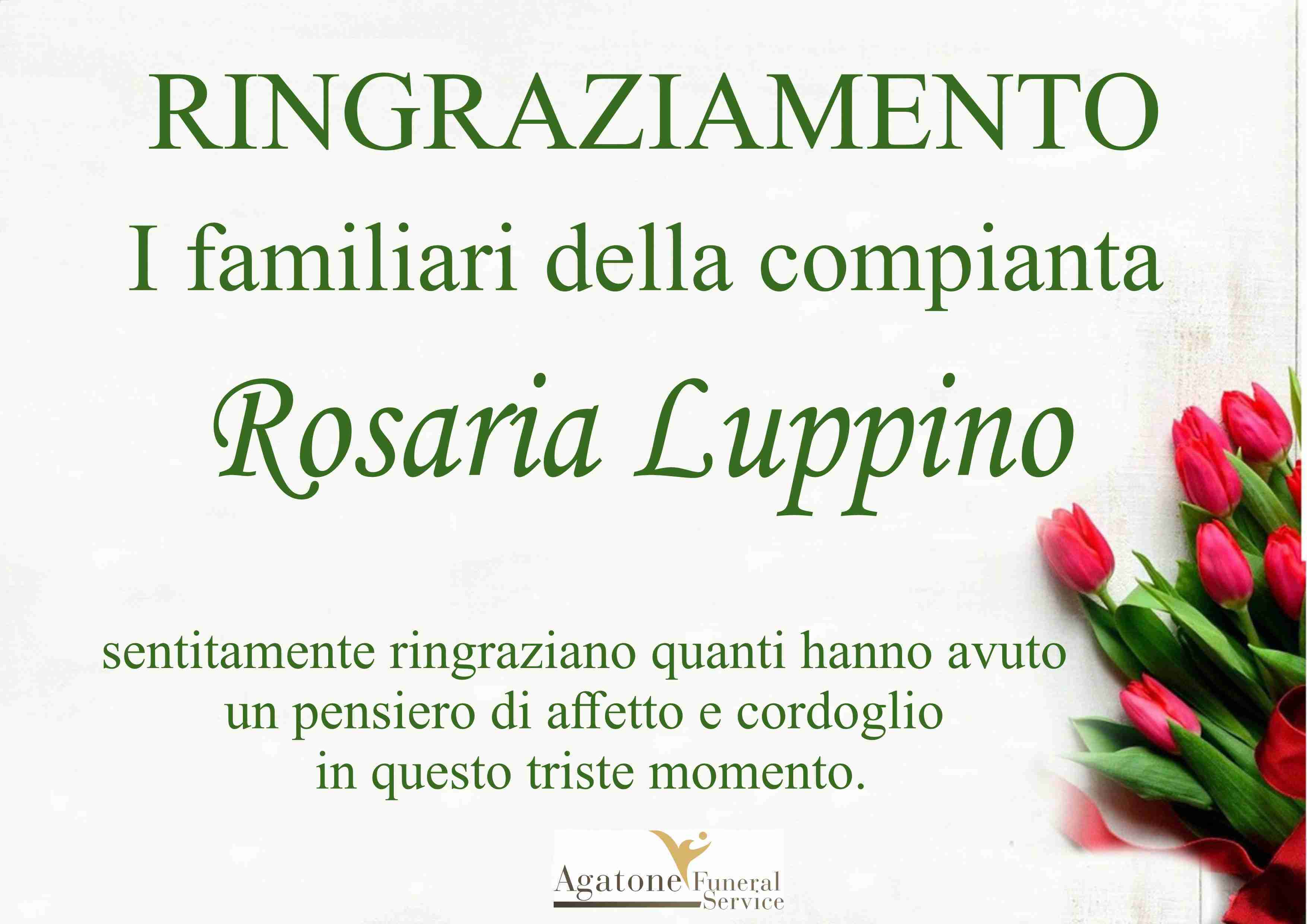 Rosaria Luppino