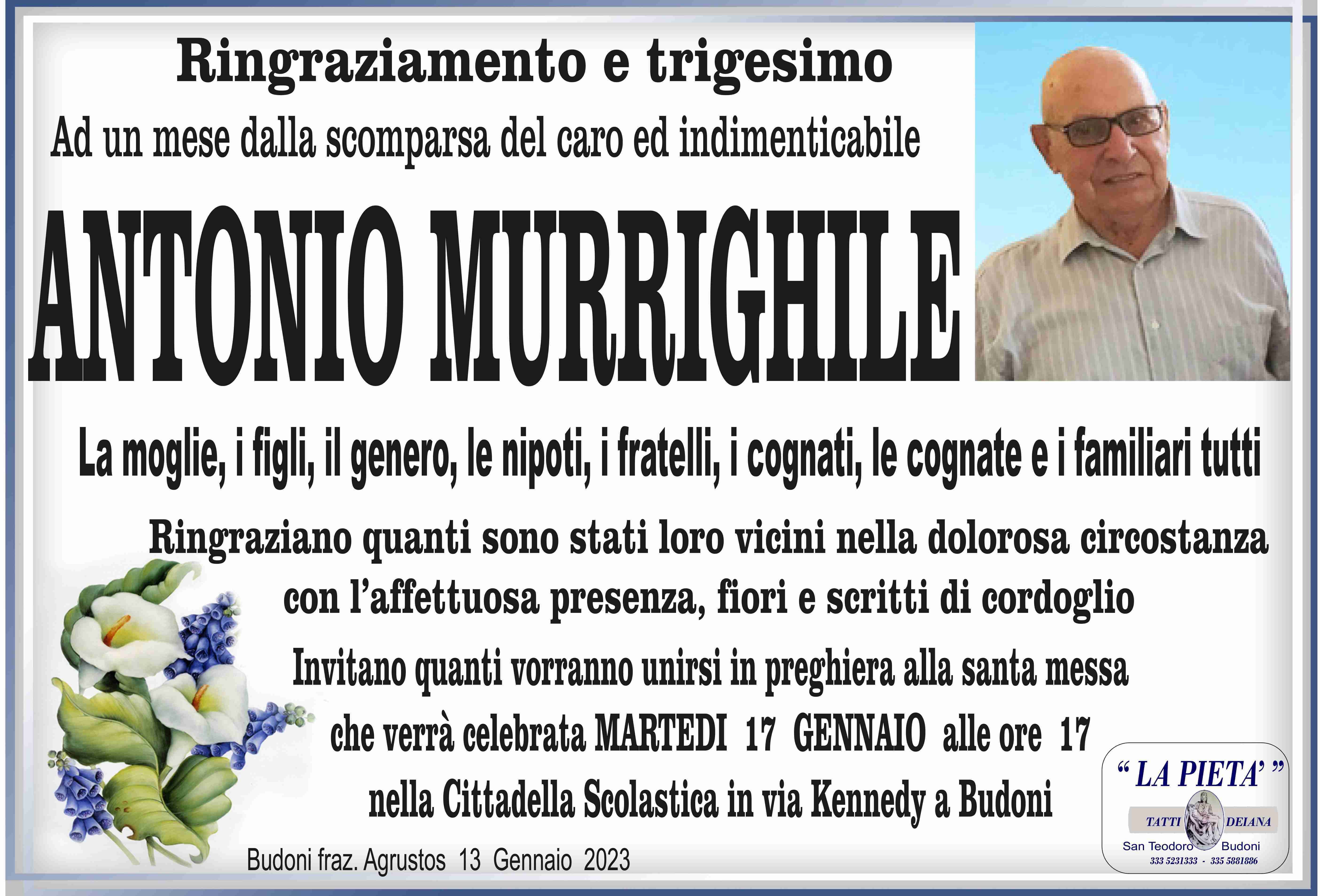 Antonio Murrighile