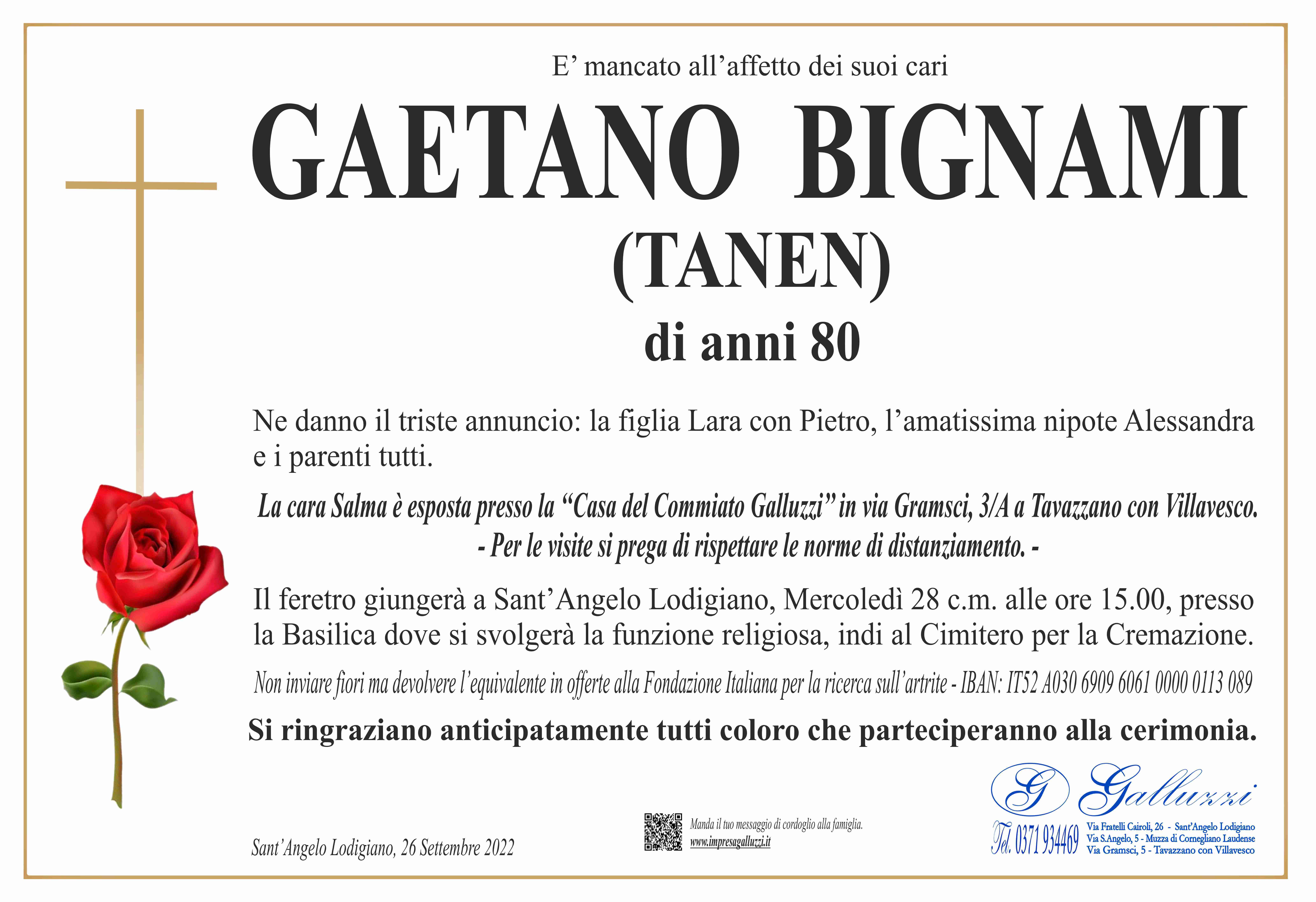 Gaetano Bignami