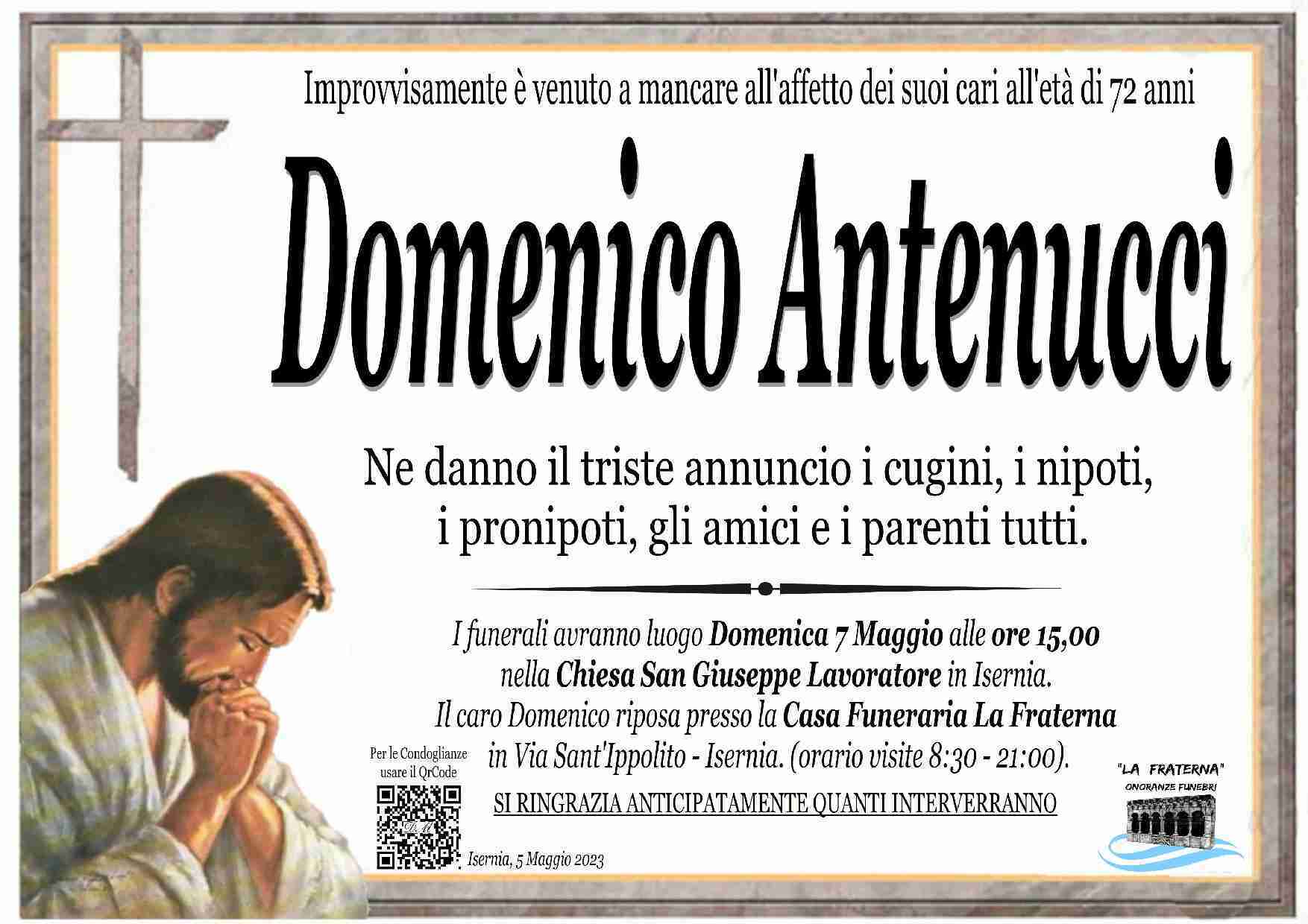 Domenico Antenucci