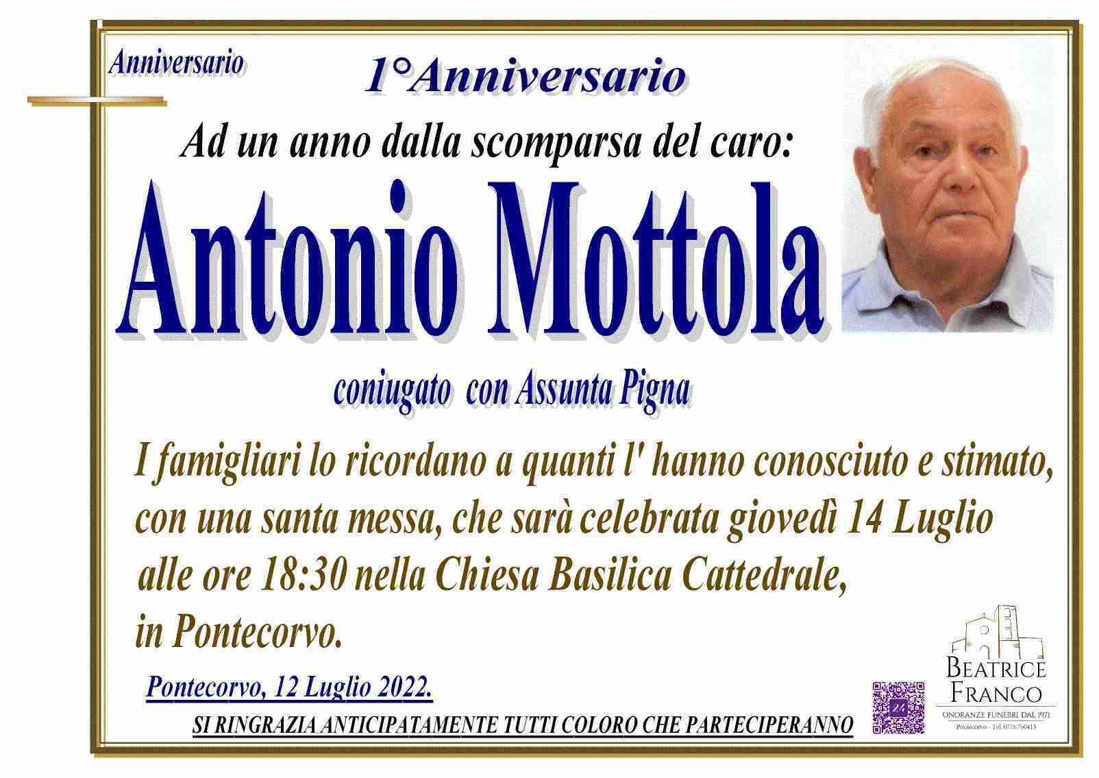 Antonio Mottola