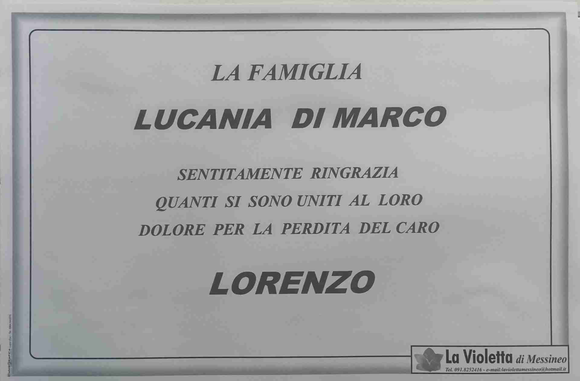 Lorenzo Lucania