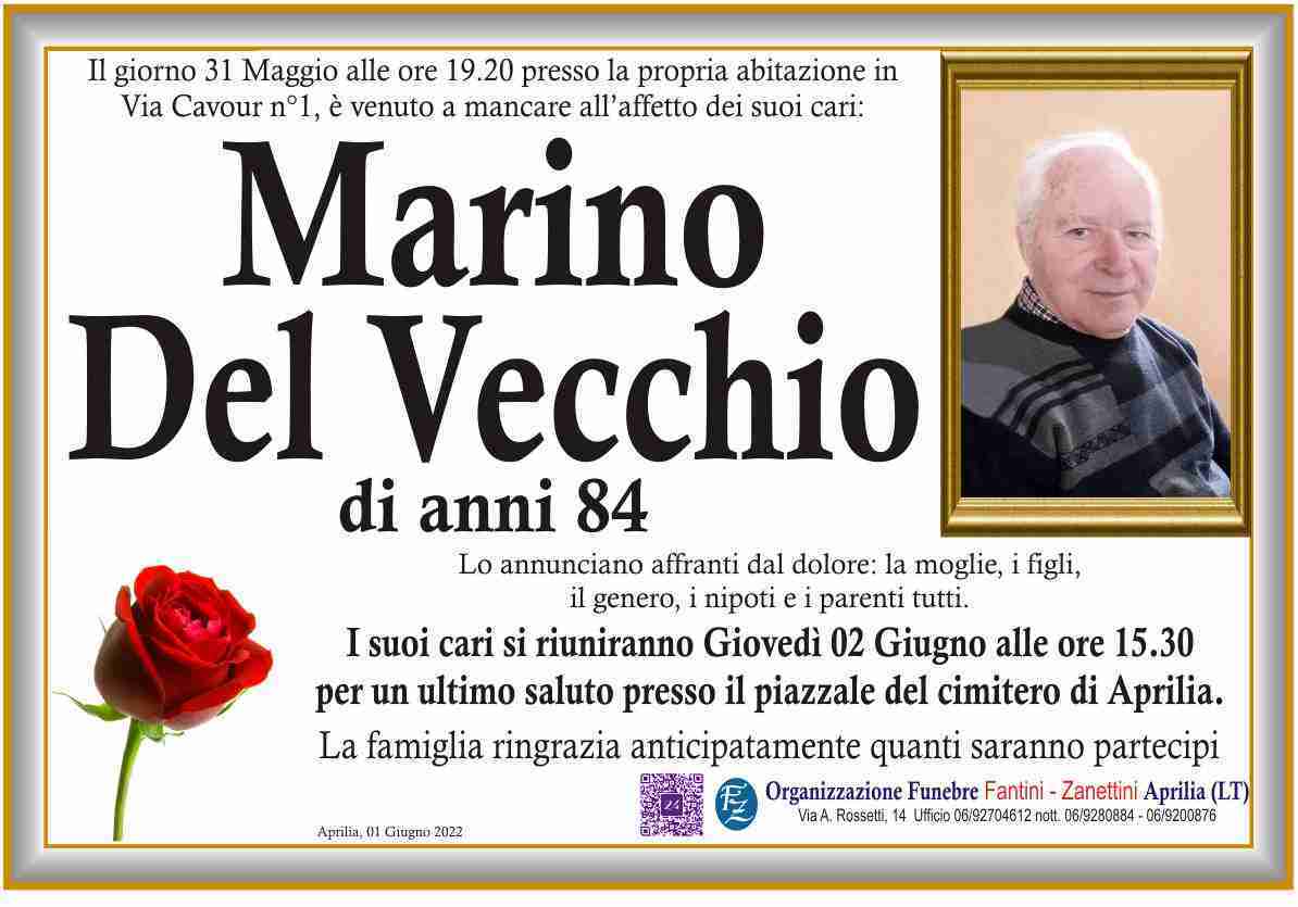 Marino Del Vecchio