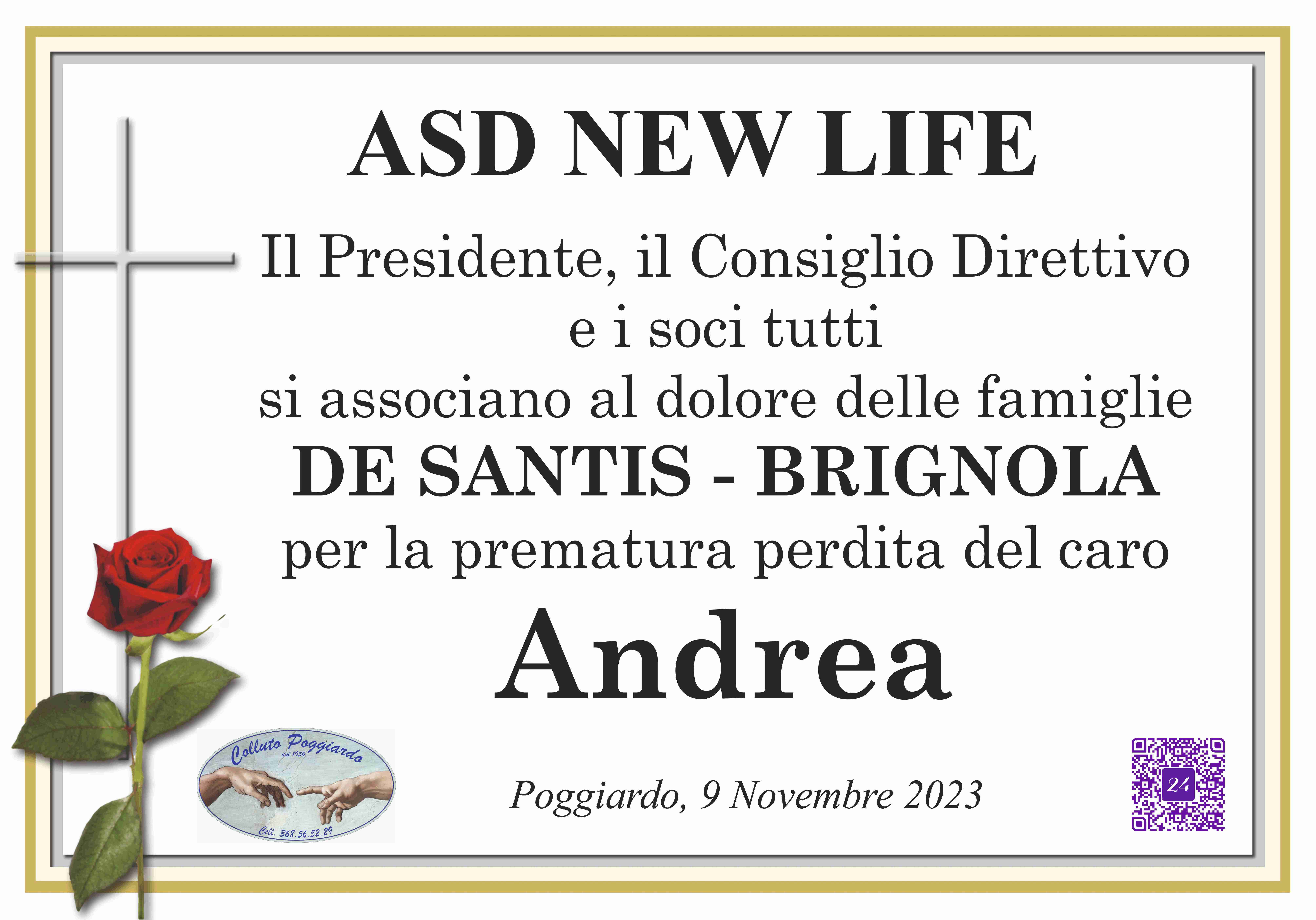 Andrea Brignola