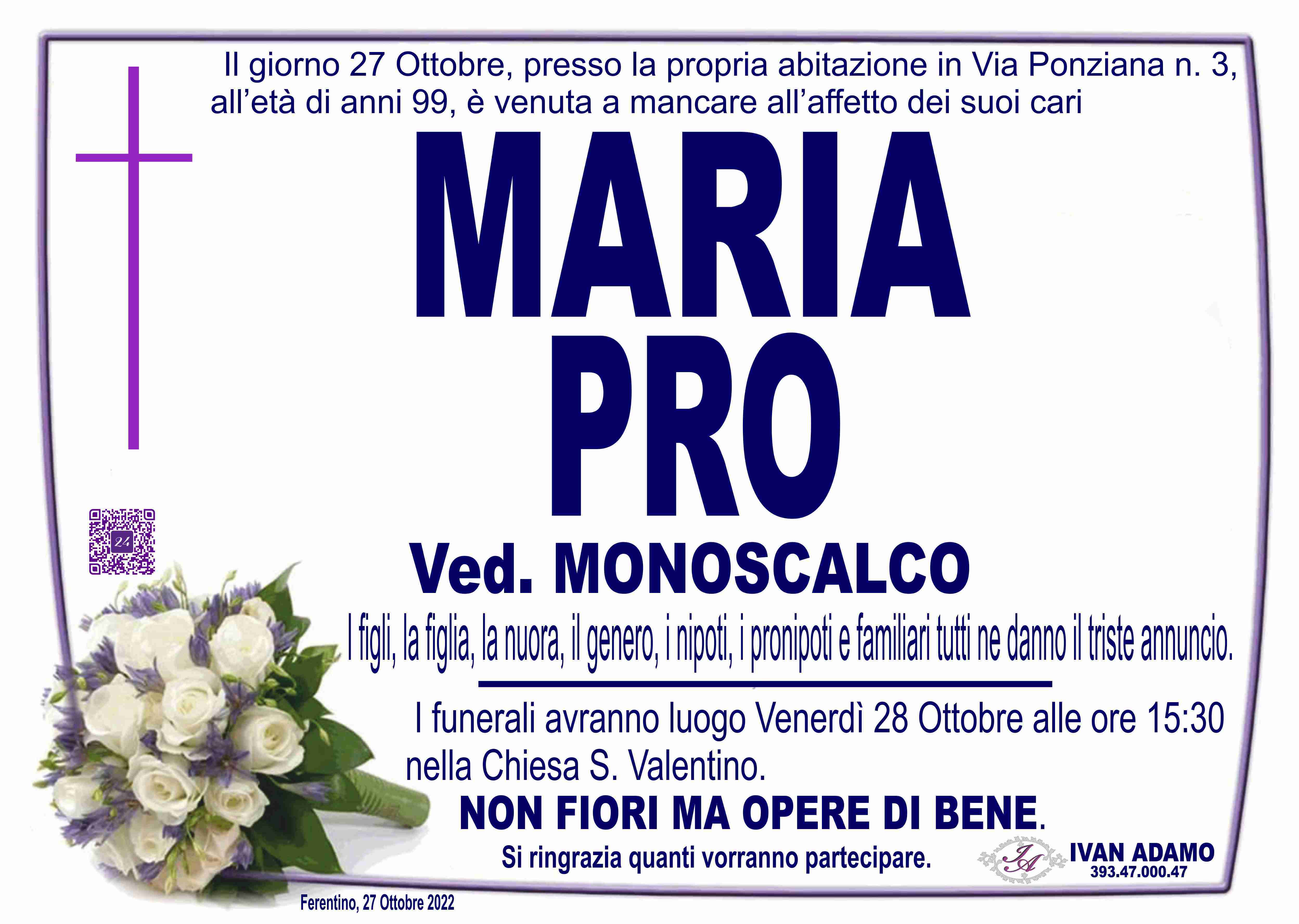 Maria Pro