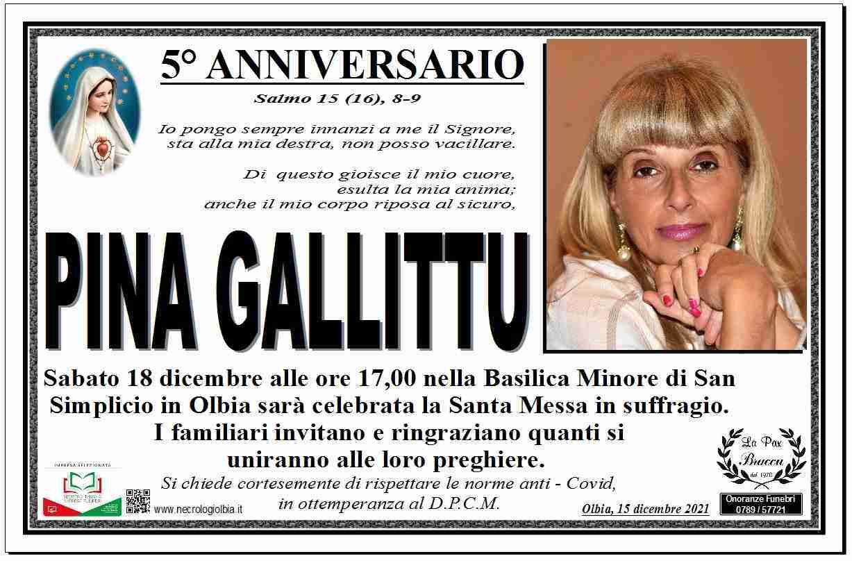 Pina Gallittu