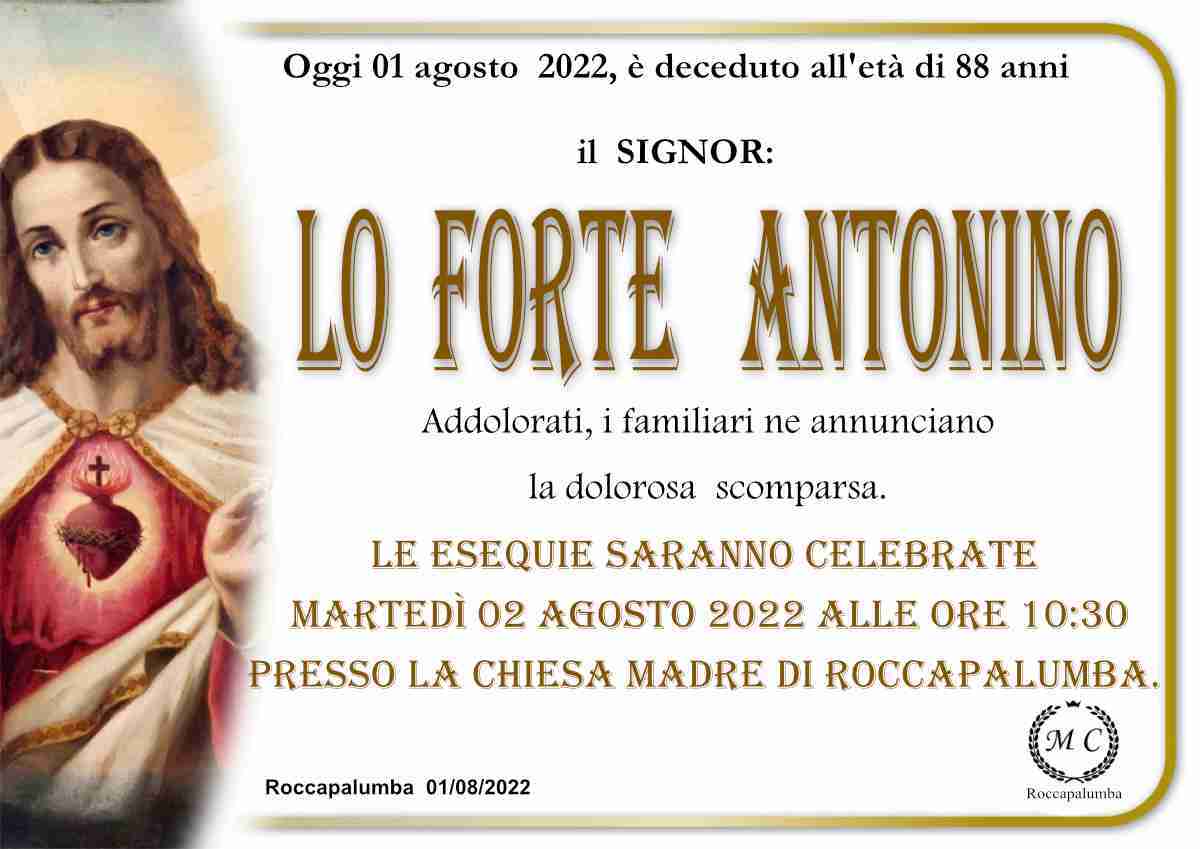 Antonino Lo Forte