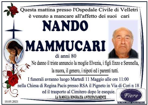 Nando Mammucari