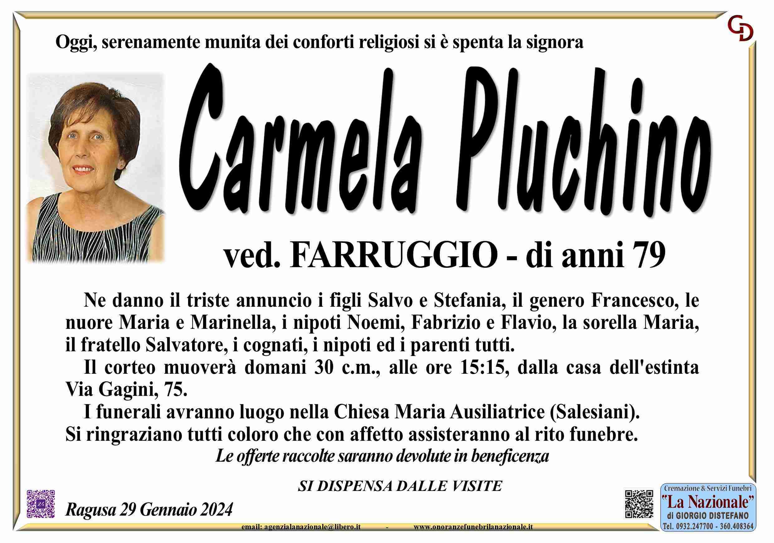 Carmela Pluchino