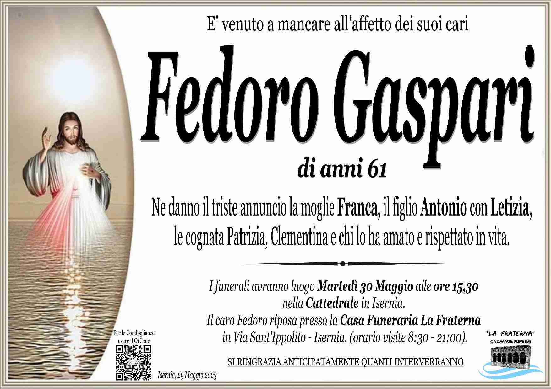 Fedoro Gaspari