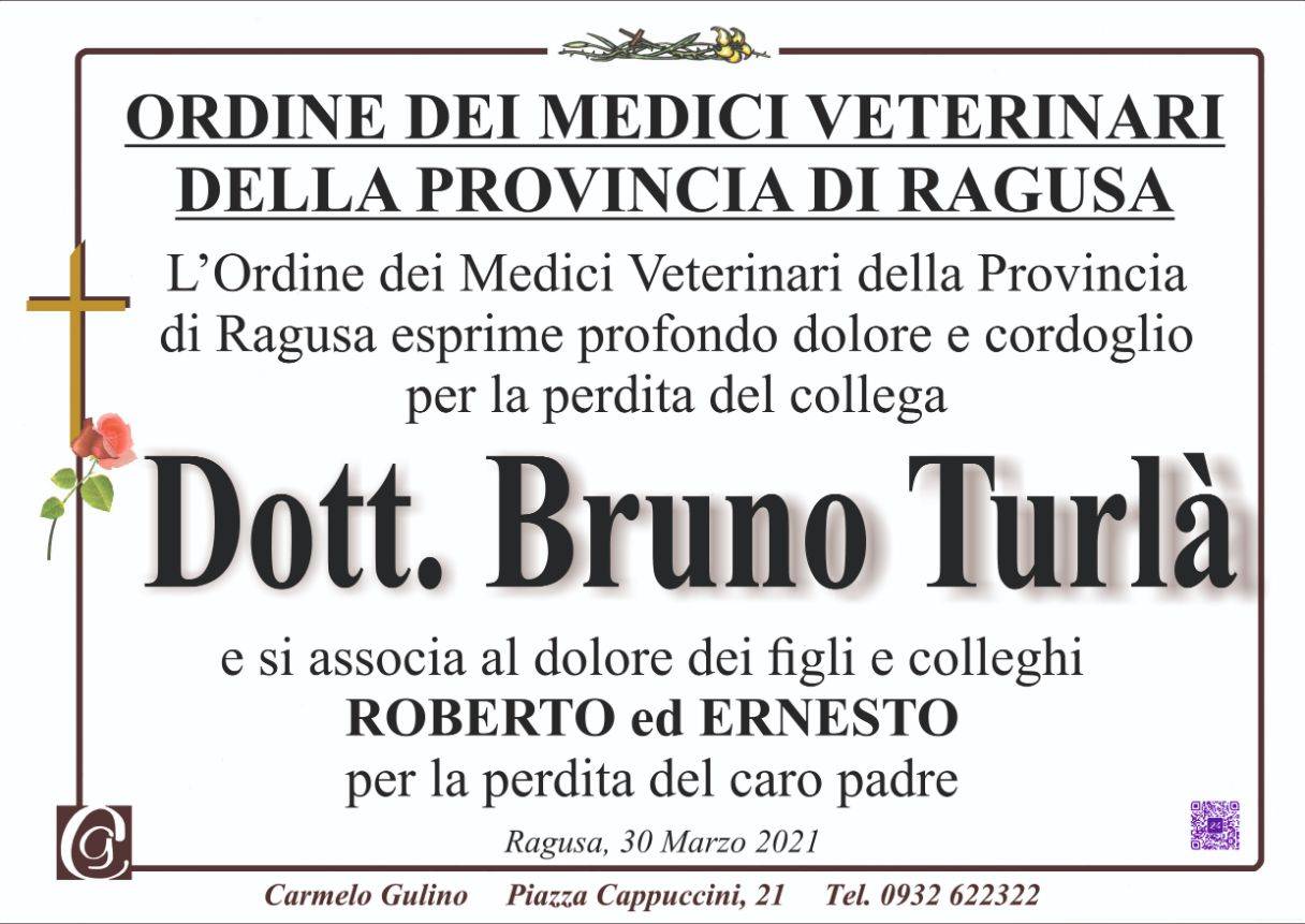 Ordine dei Medici Veterinari della Provincia di Ragusa