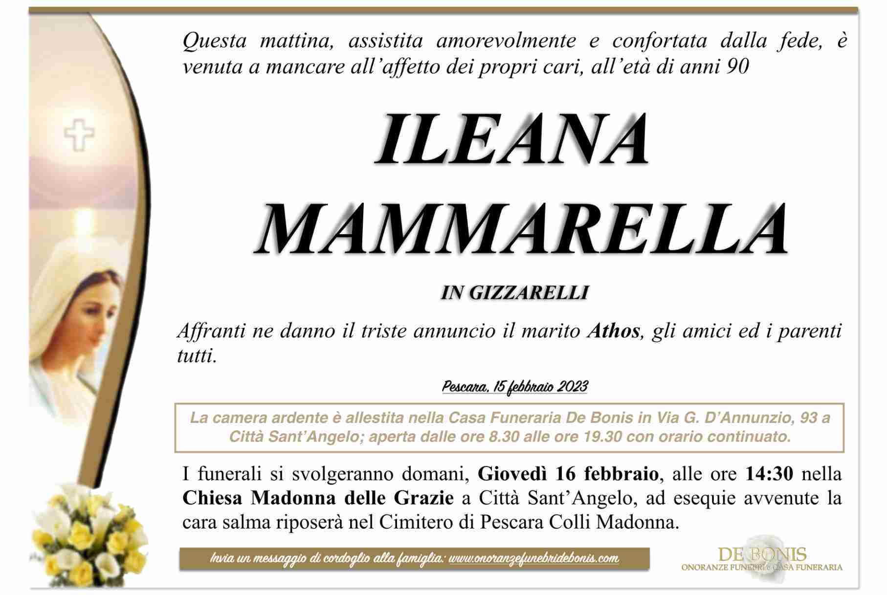 Ileana Mammarella