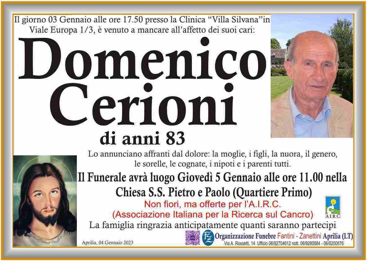 Domenico Cerioni