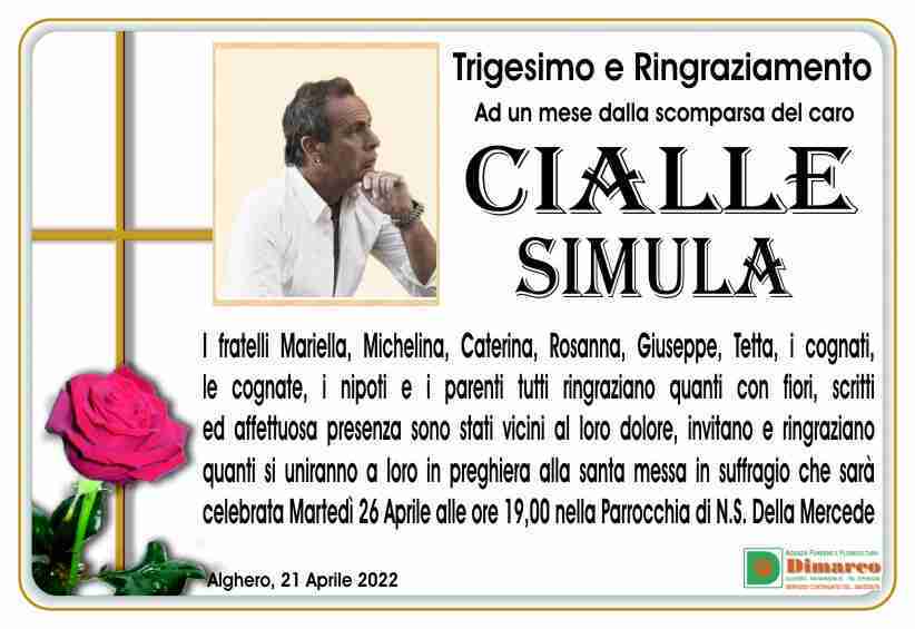 Cialle Simula