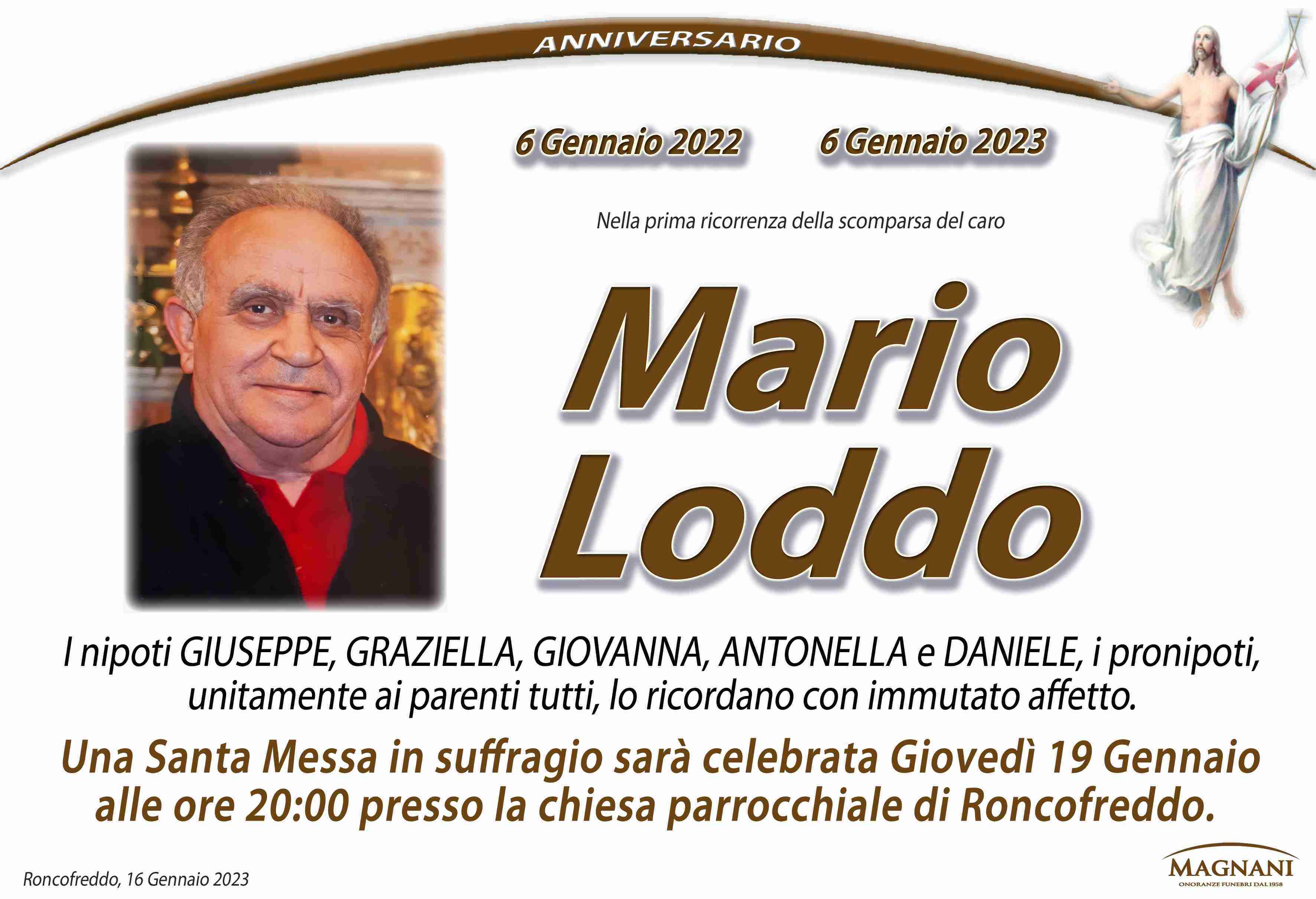 Mario Loddo