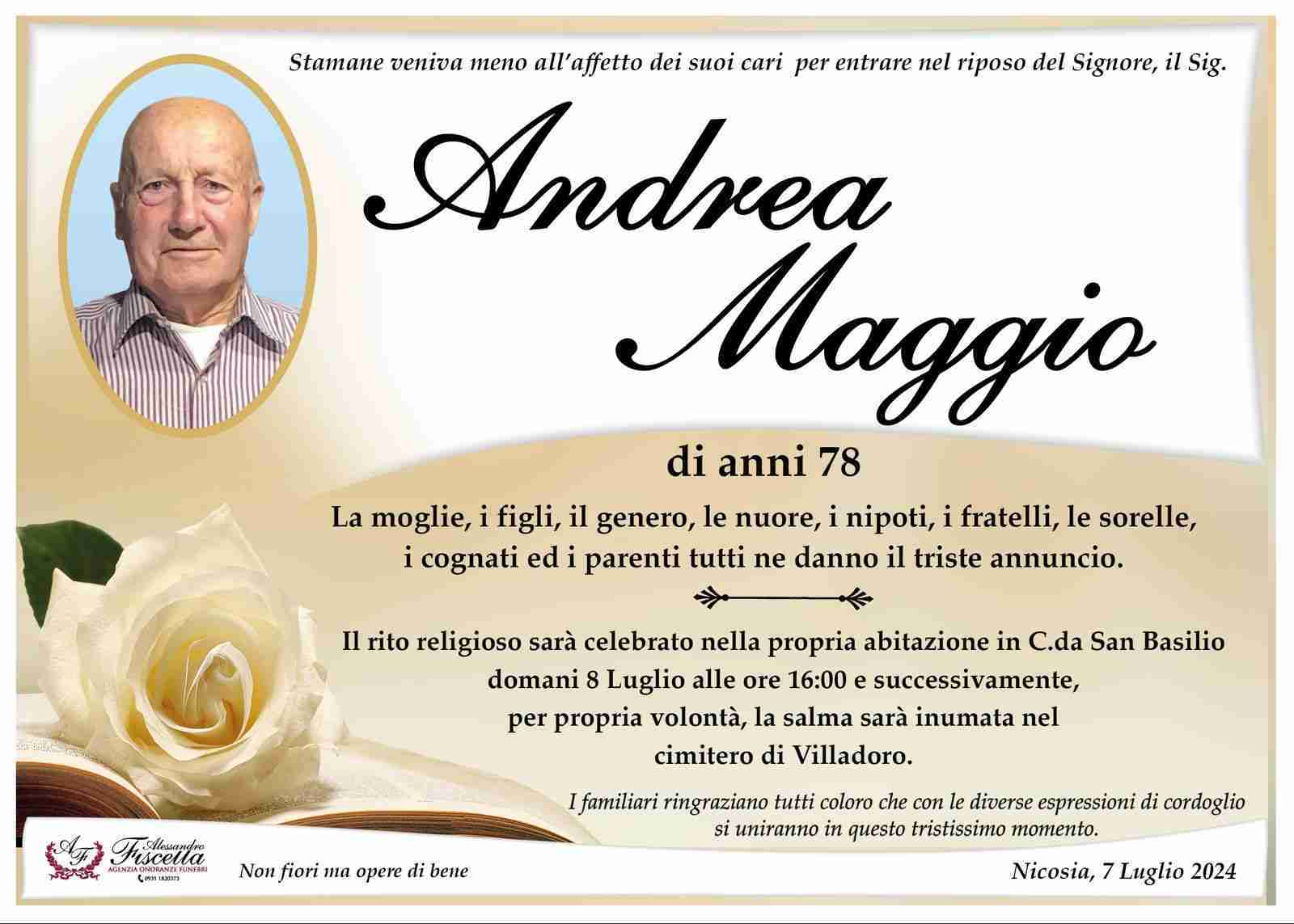 Andrea Maggio