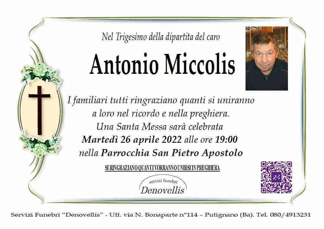 Antonio Miccolis