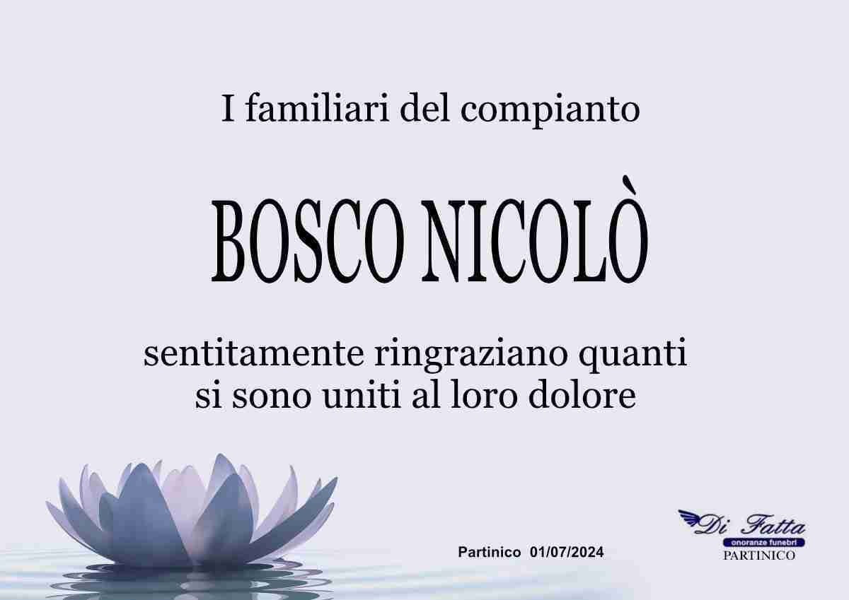 Nicolò Bosco