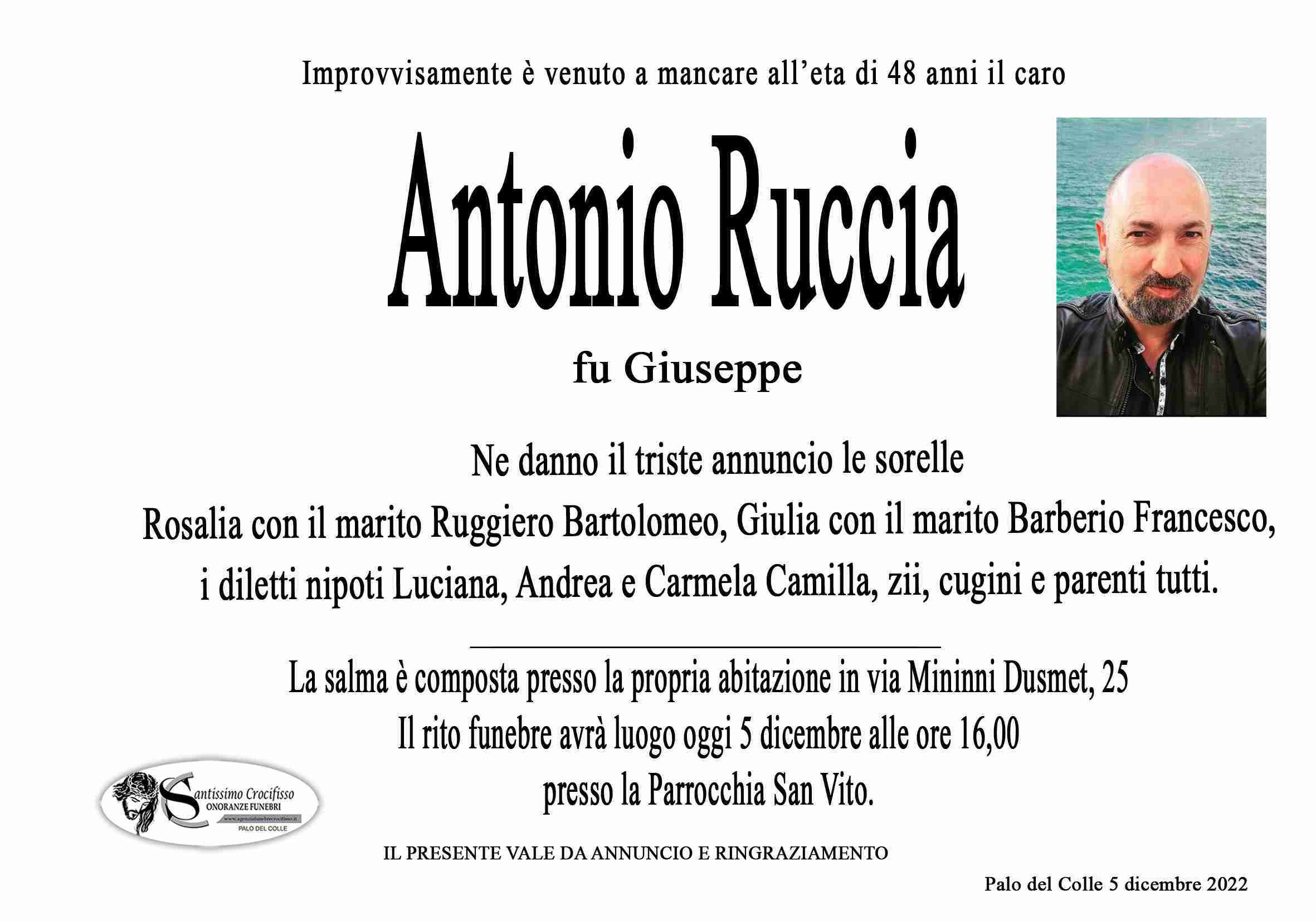 Ruccia Antonio