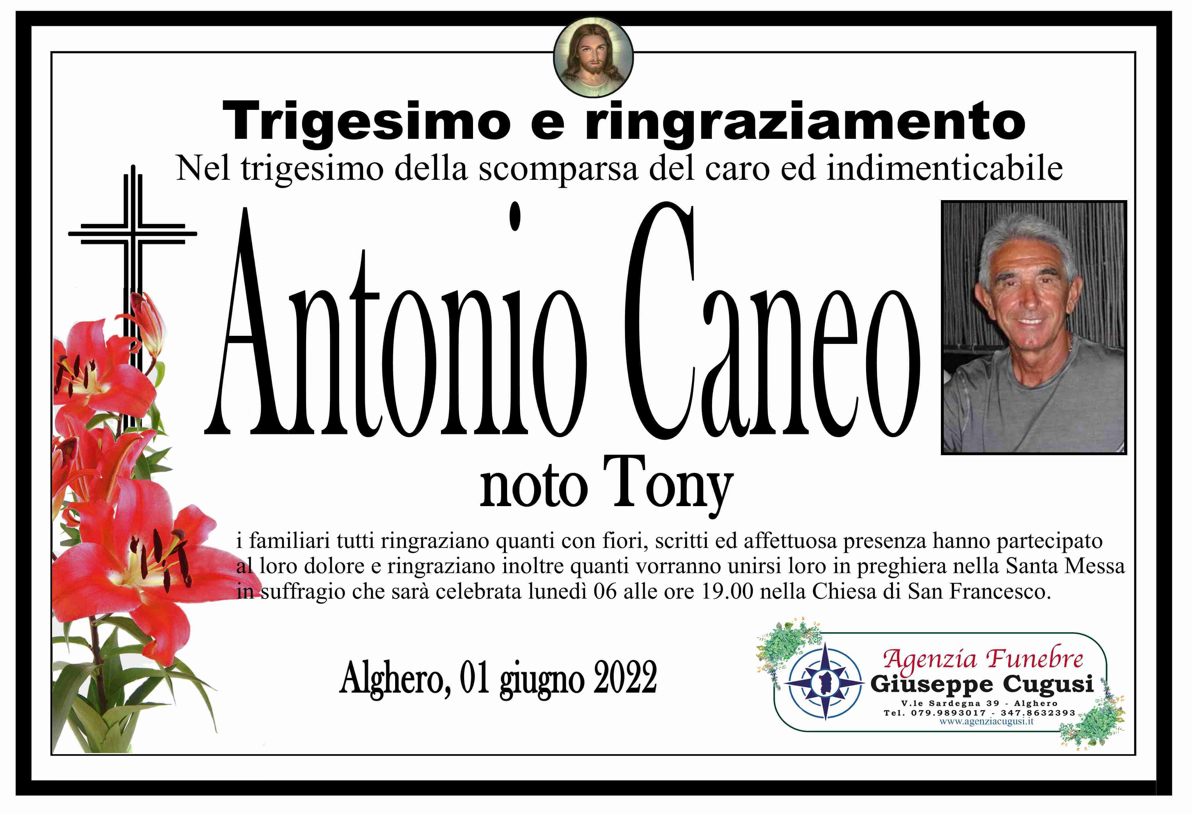 Antonio Caneo