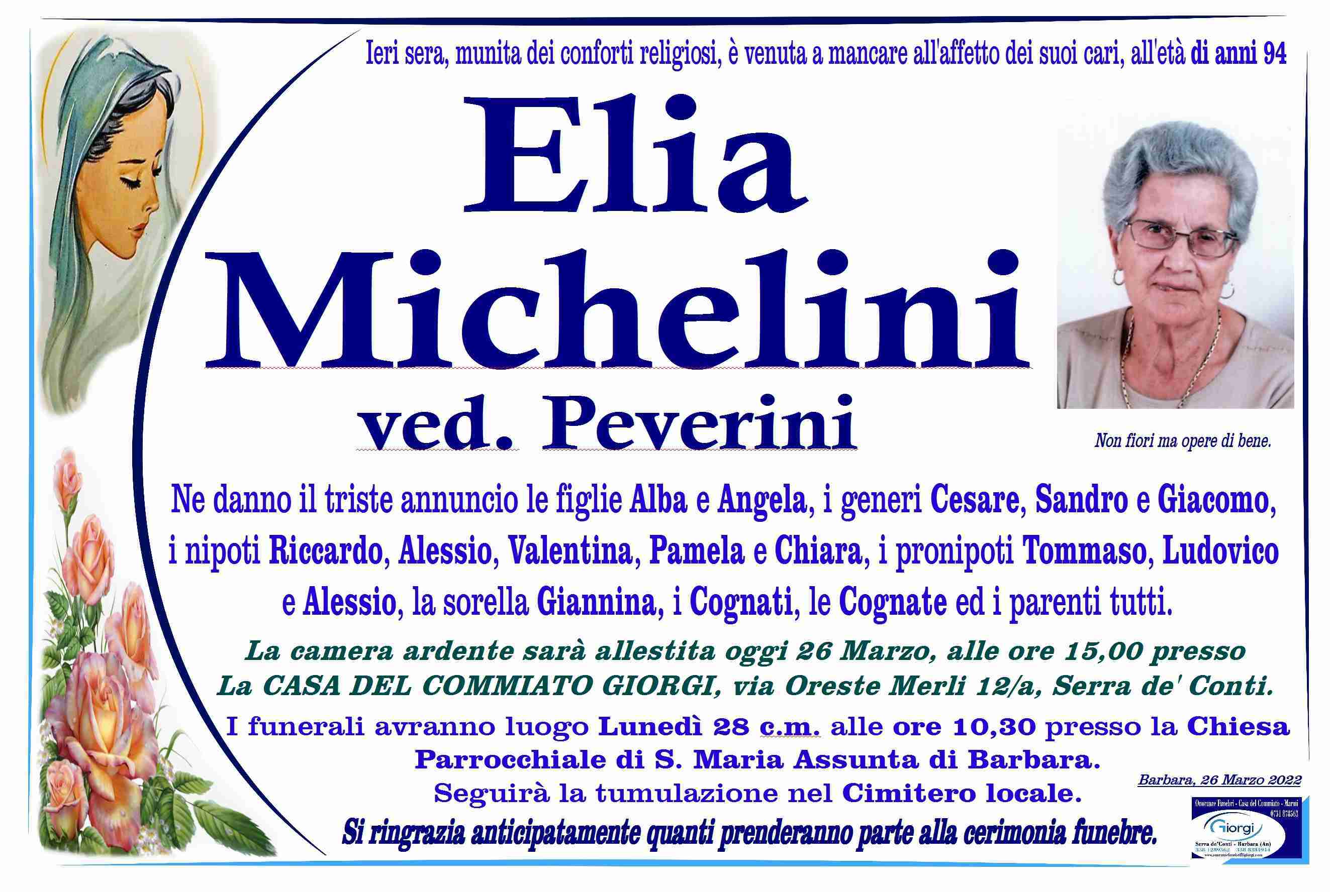 Elia Michelini