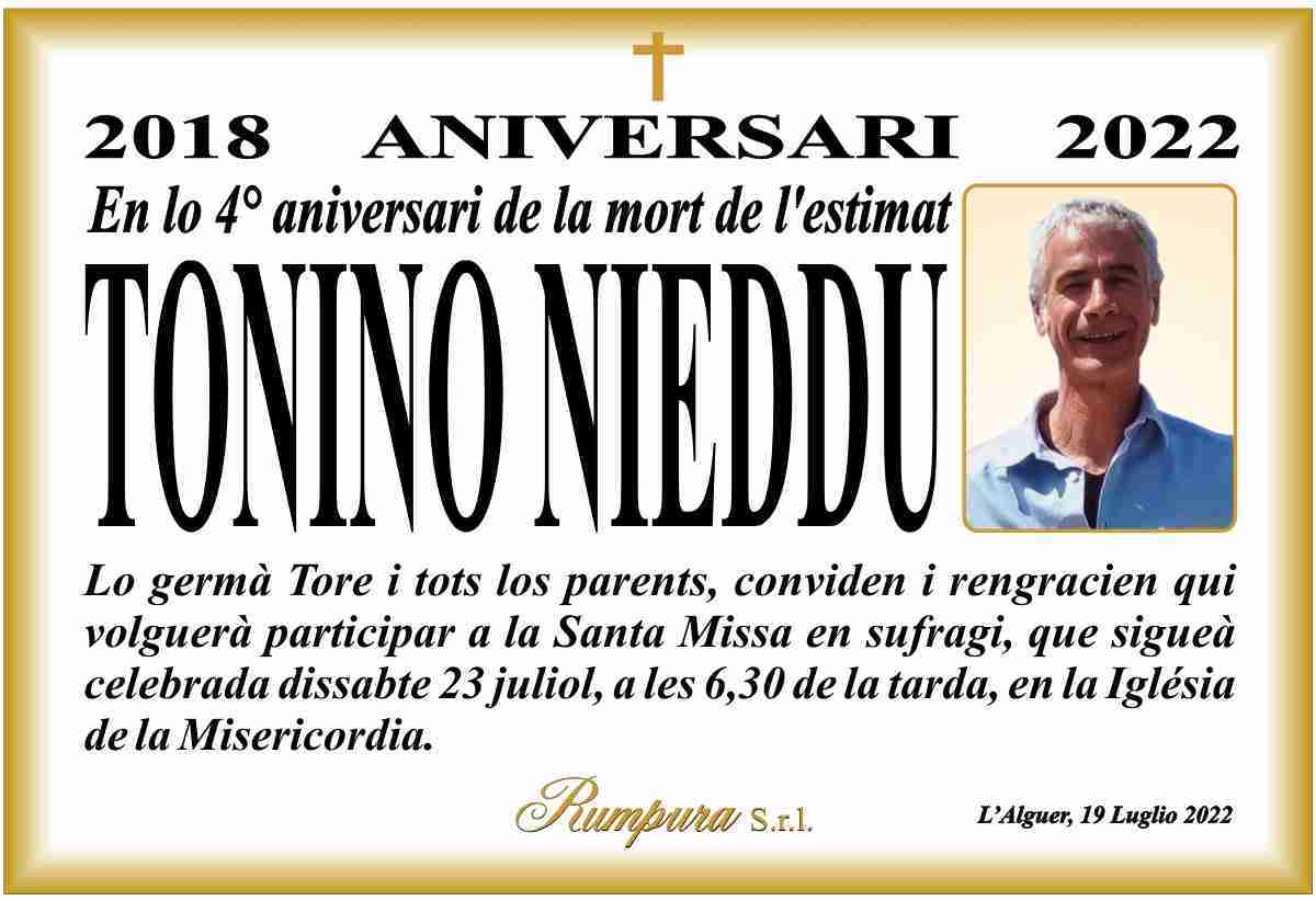 Tonino Nieddu