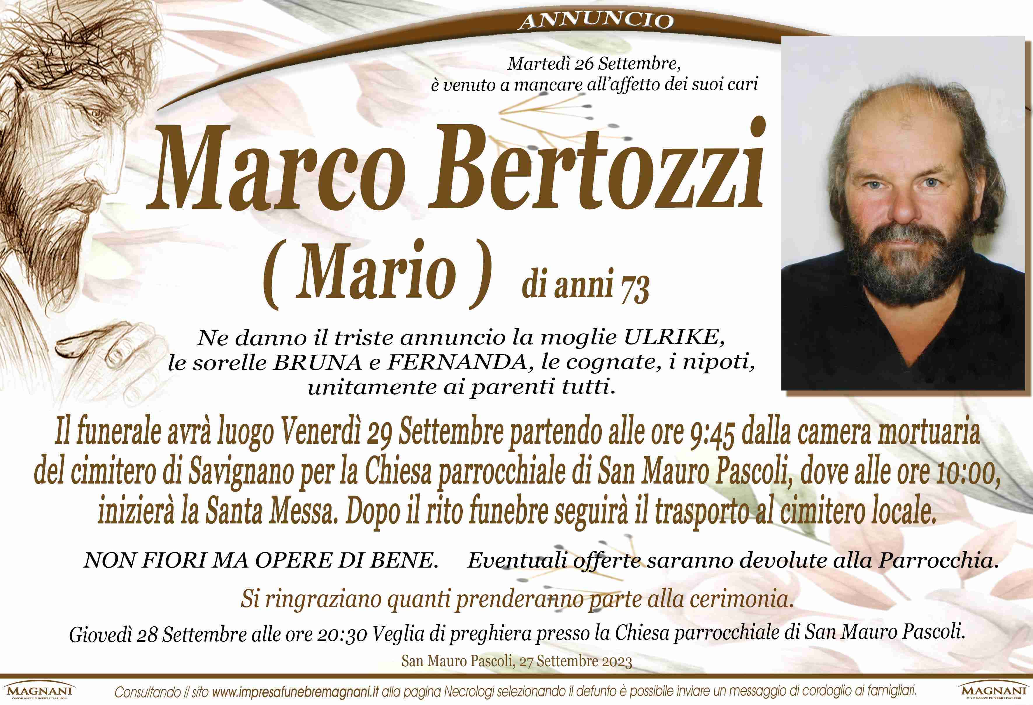 Marco Bertozzi