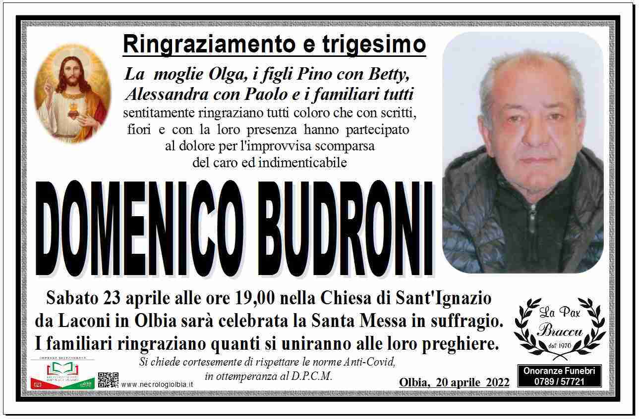 Domenico Budroni