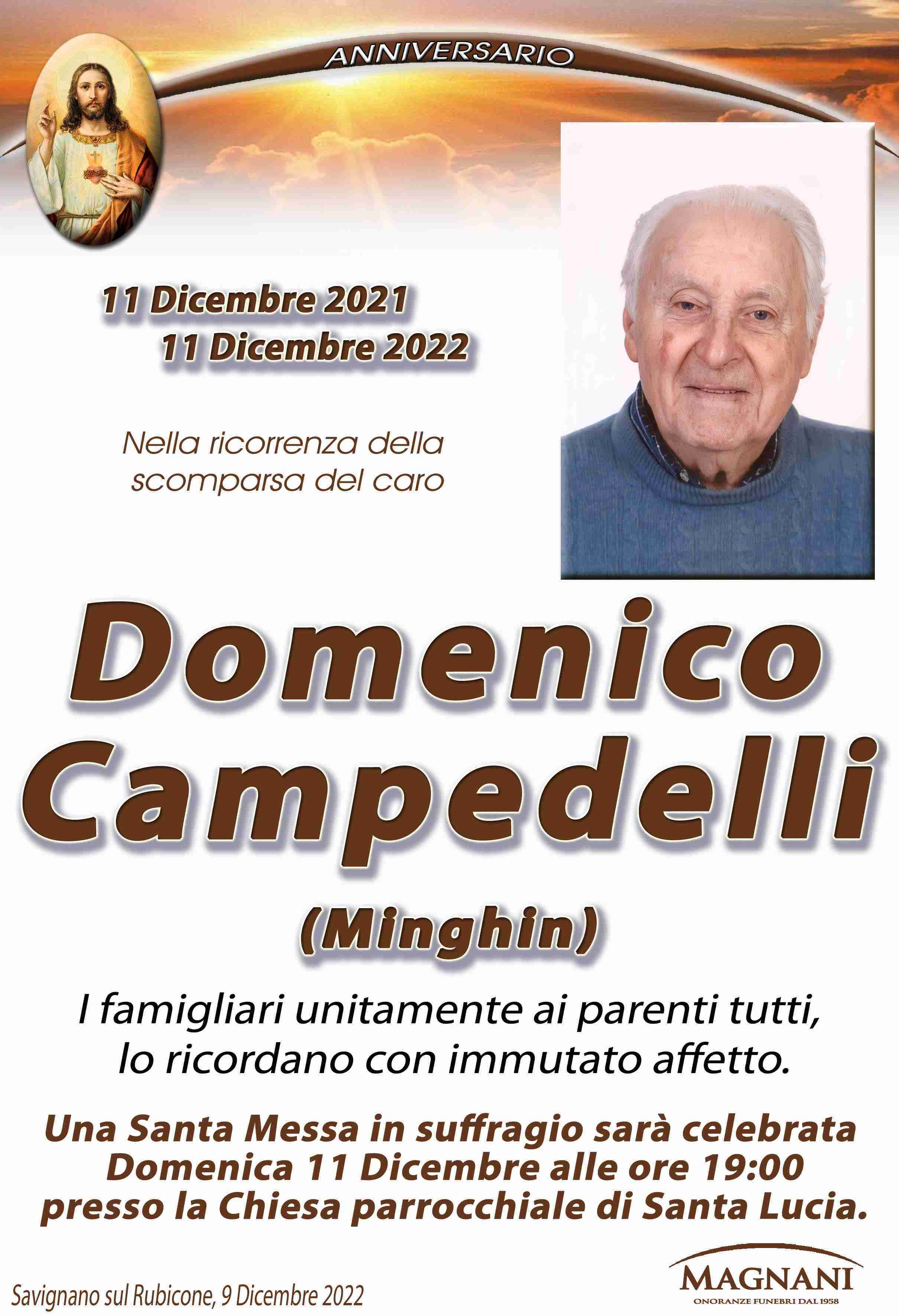 Domenico Campedelli