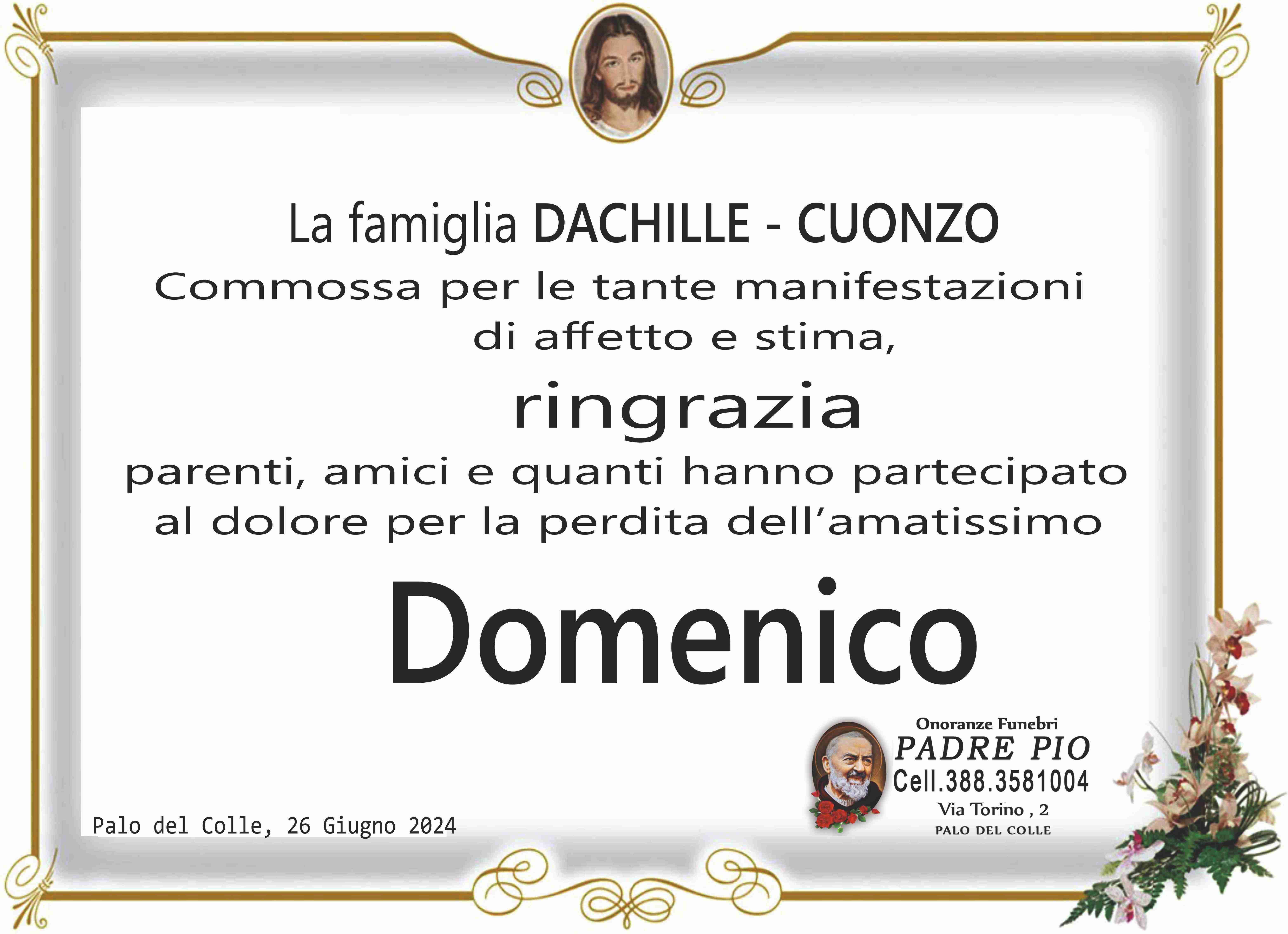 Domenico Dachille