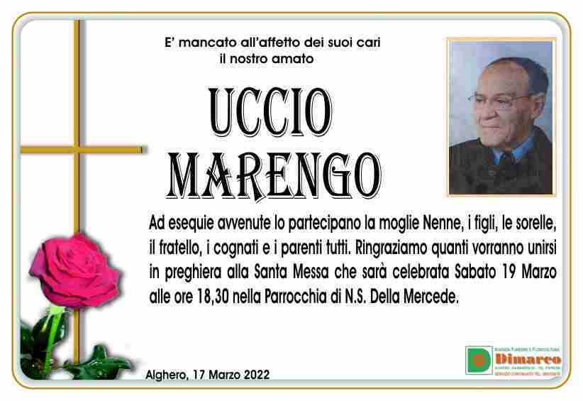 Uccio Marengo