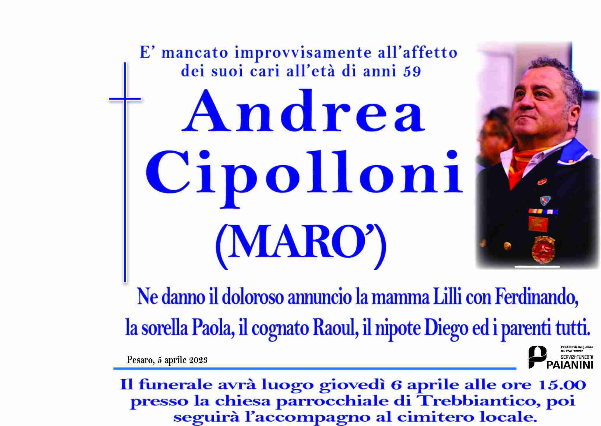 Andrea Cipolloni