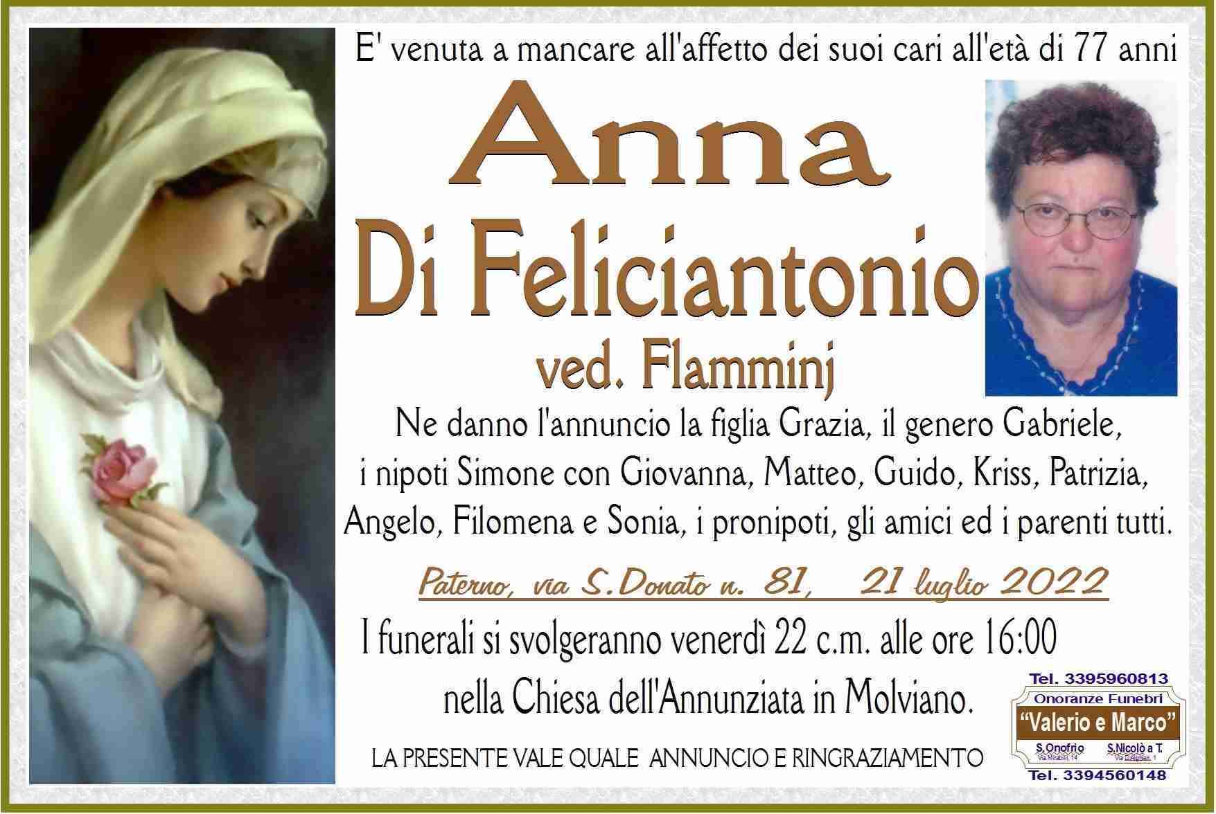 Anna Di Feliciantonio