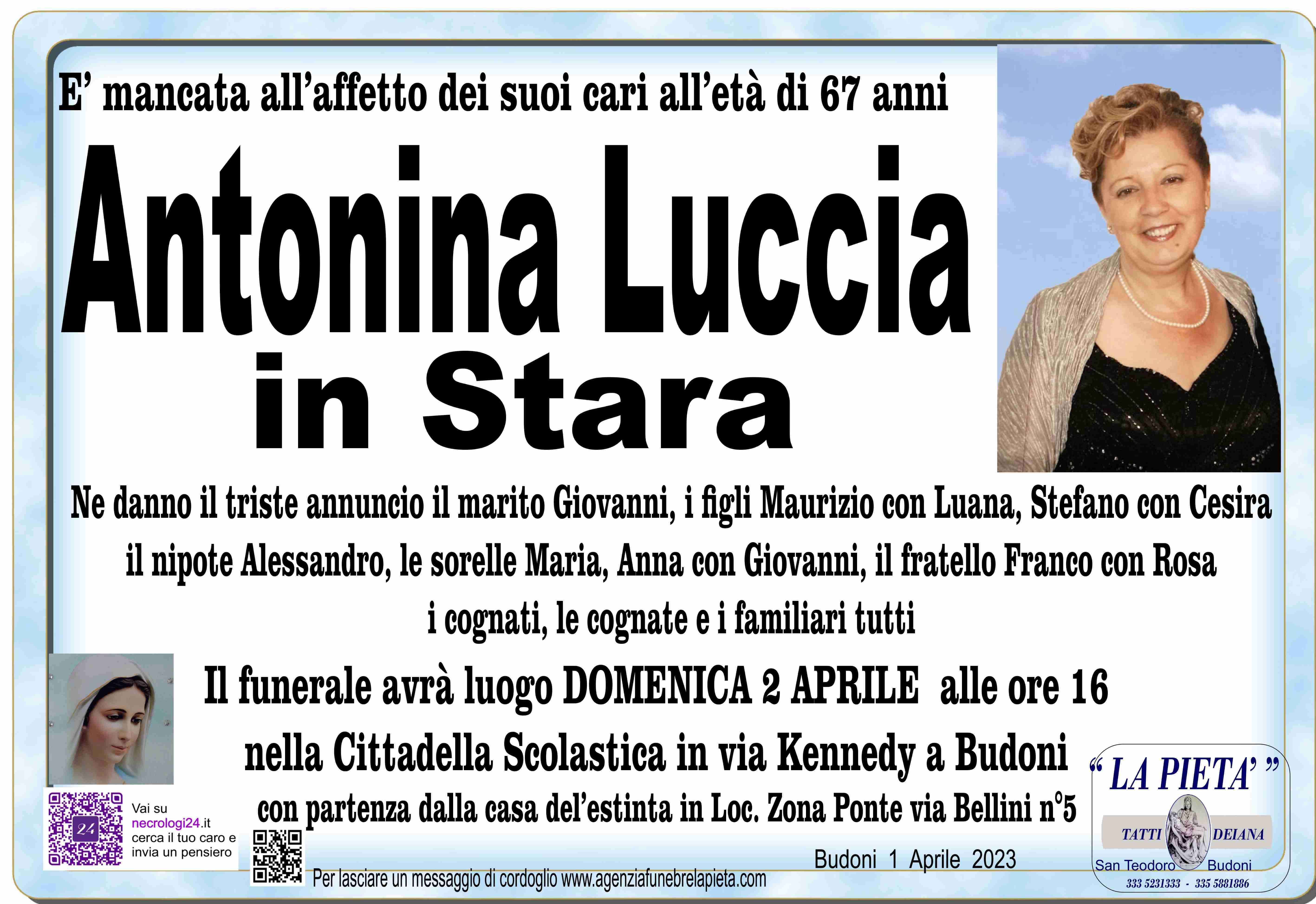 Antonina Luccia