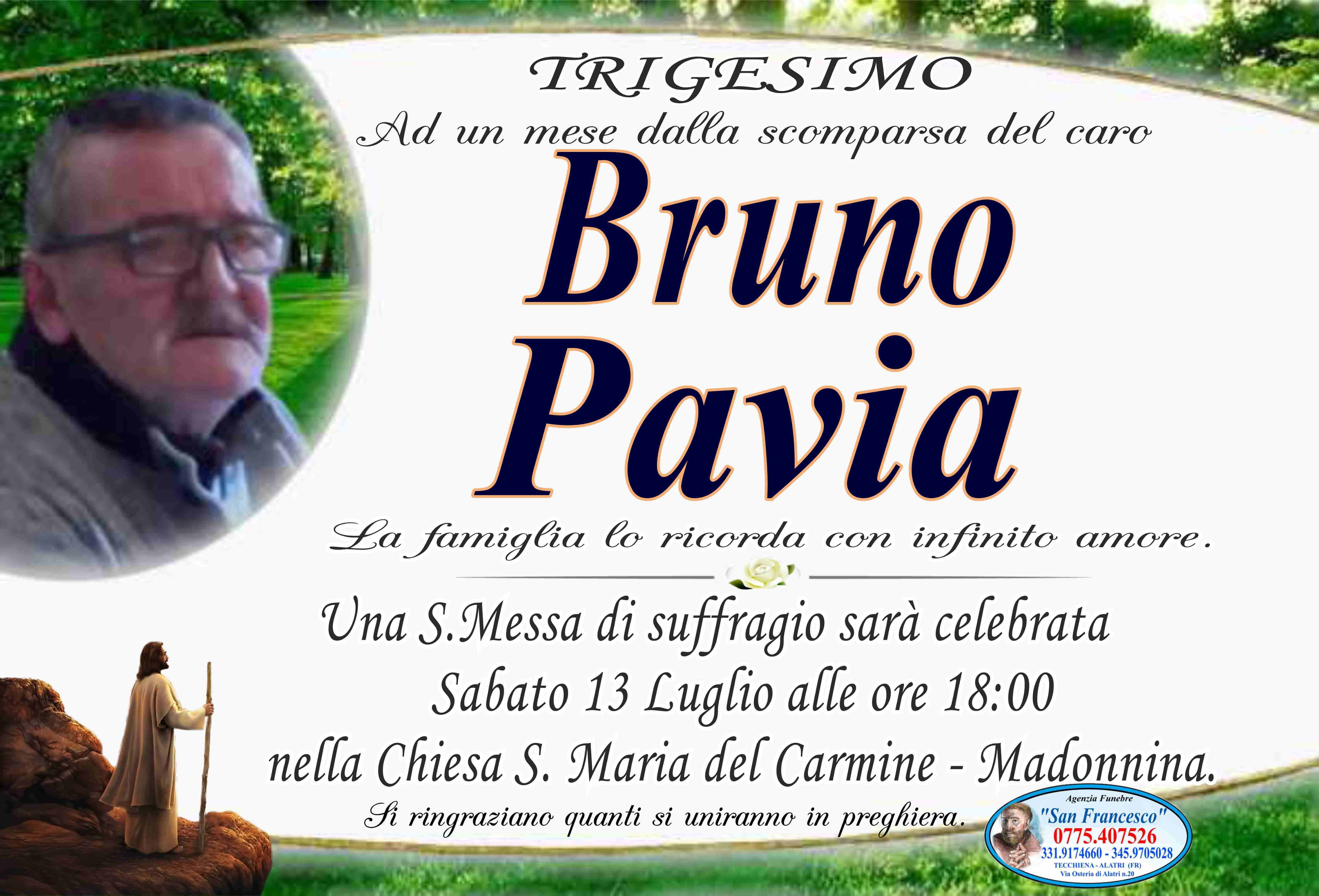 Bruno Pavia