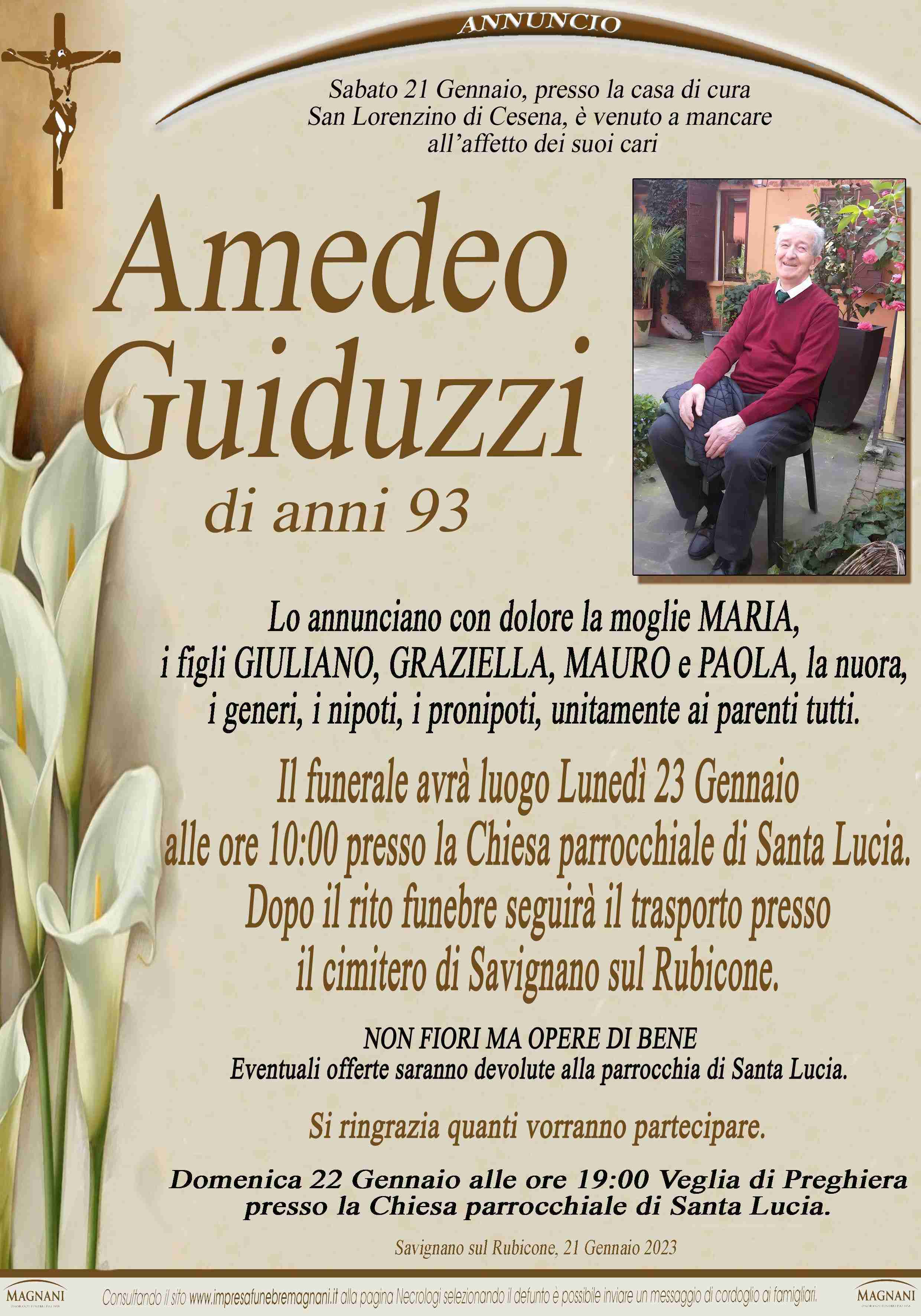 Amedeo Guiduzzi