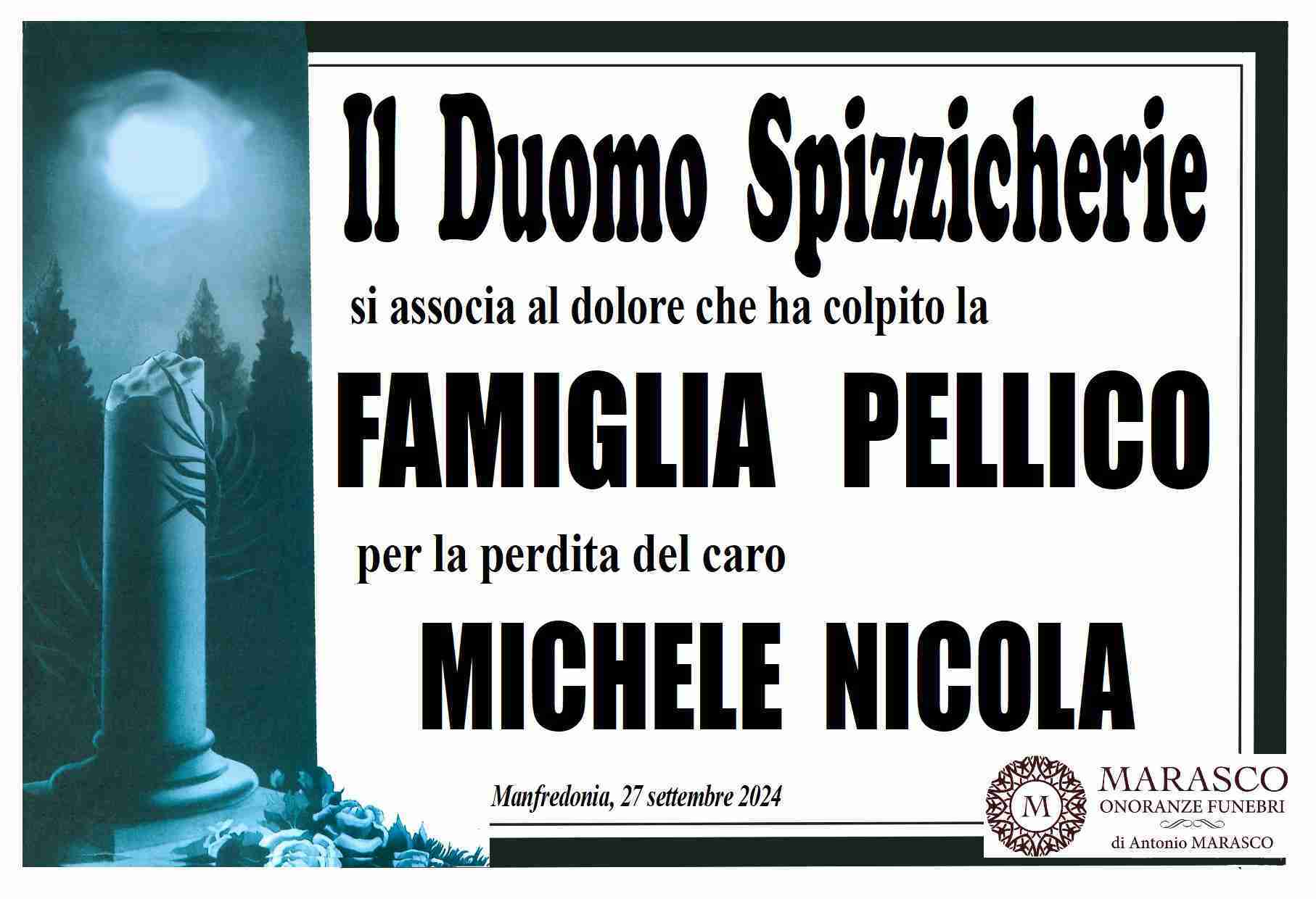 Michele Nicola Pellico