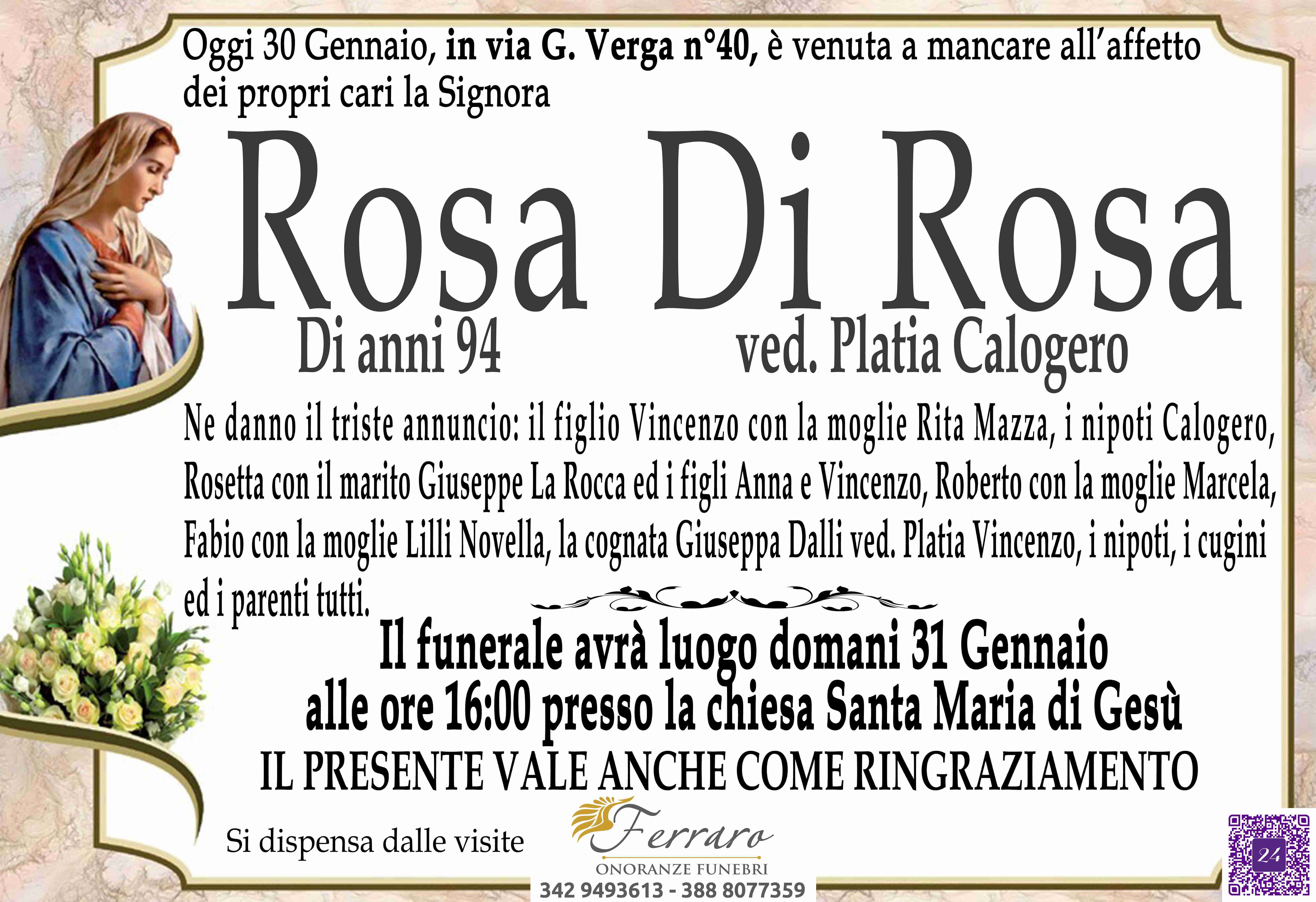 Rosa Di Rosa