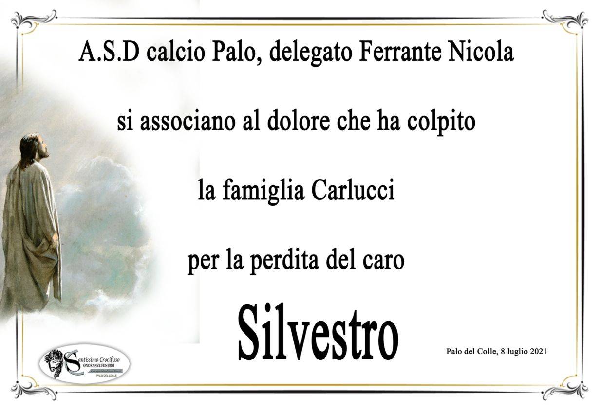 A.S.D. Calcio Palo - Delegato Ferrante Nicola