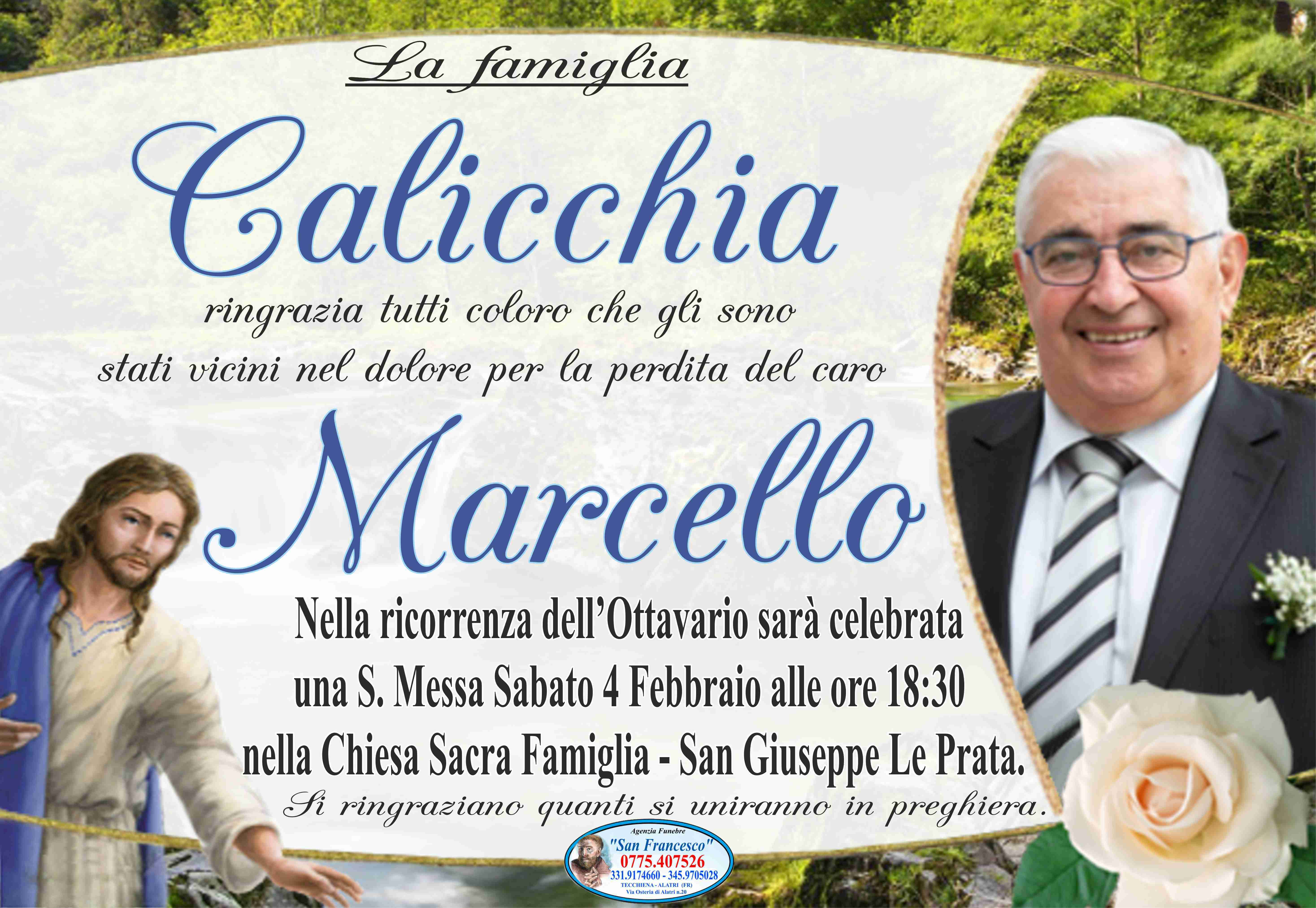 Marcello Calicchia