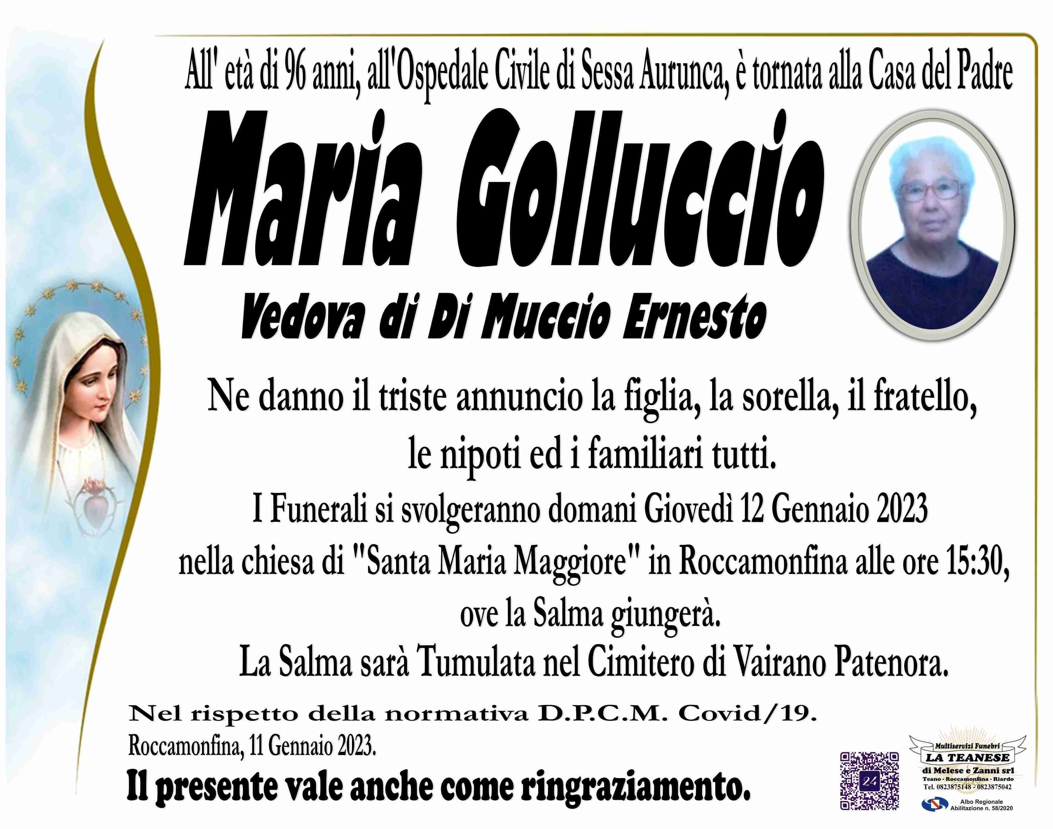 Maria Golluccio