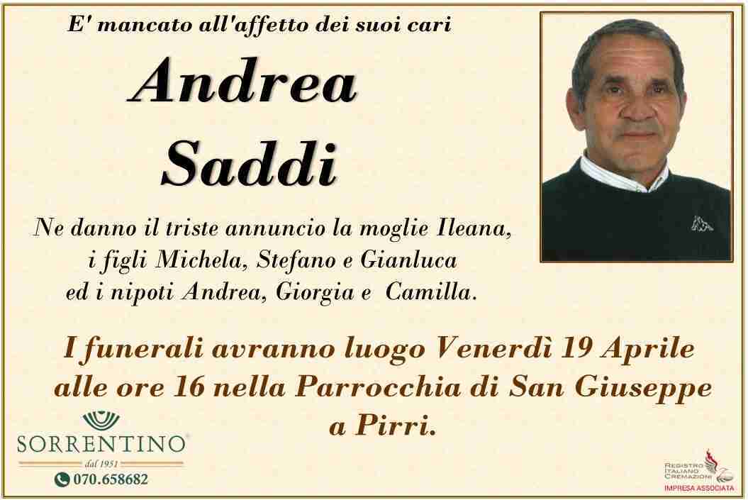 Andrea Saddi