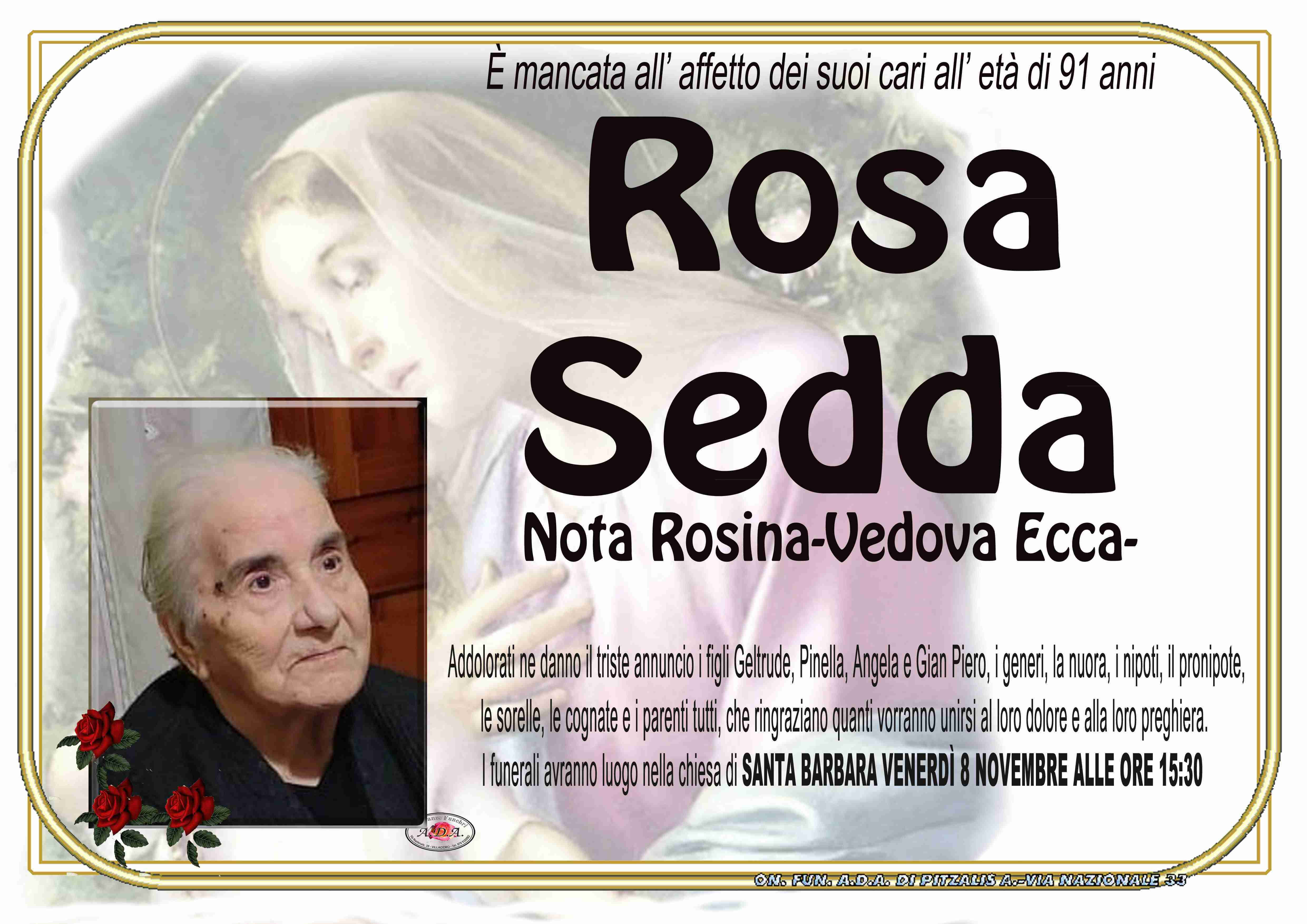 Rosa Sedda