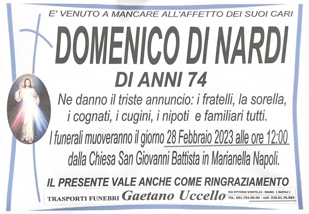 Domenico Di Nardi