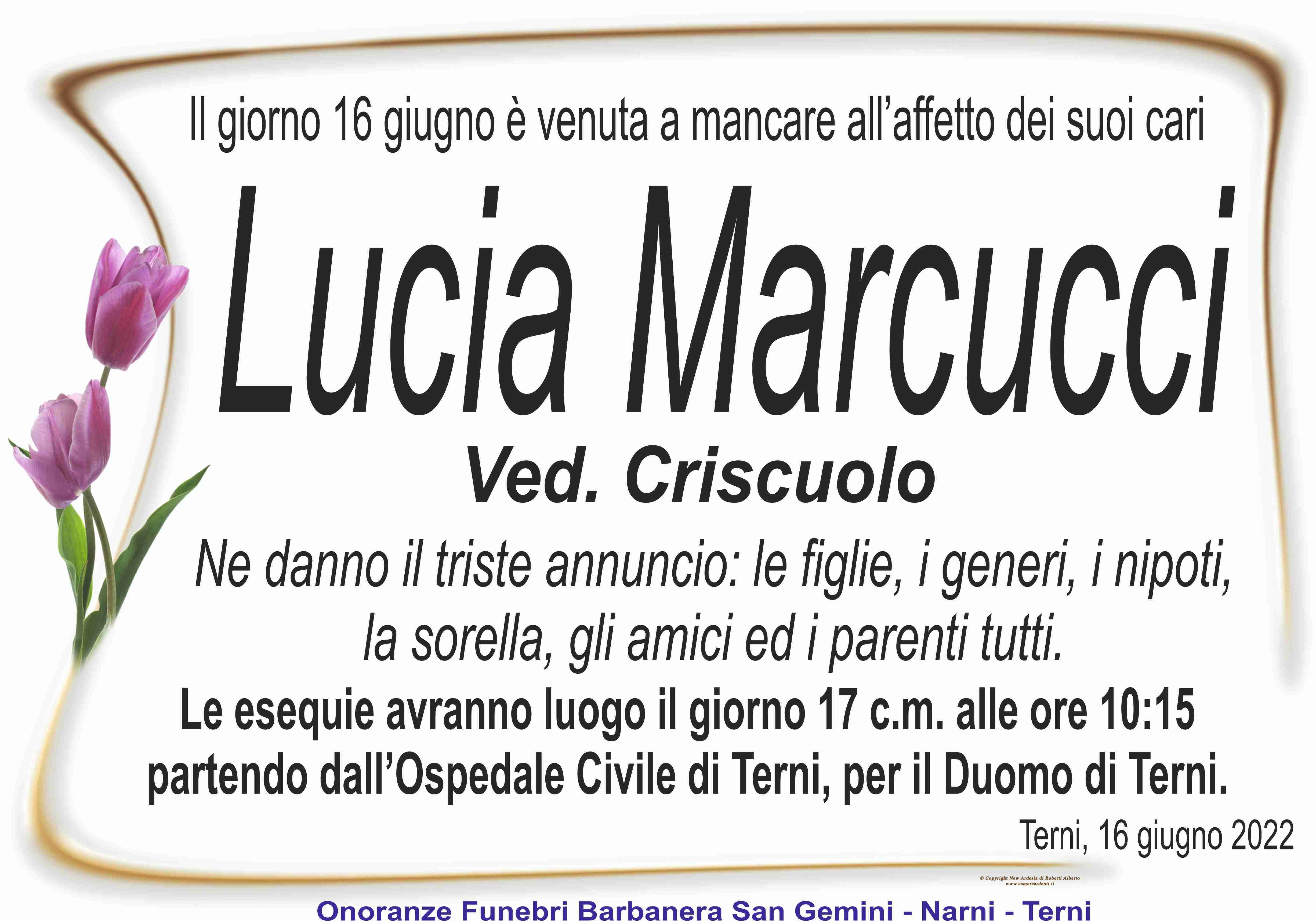 Lucia Marcucci