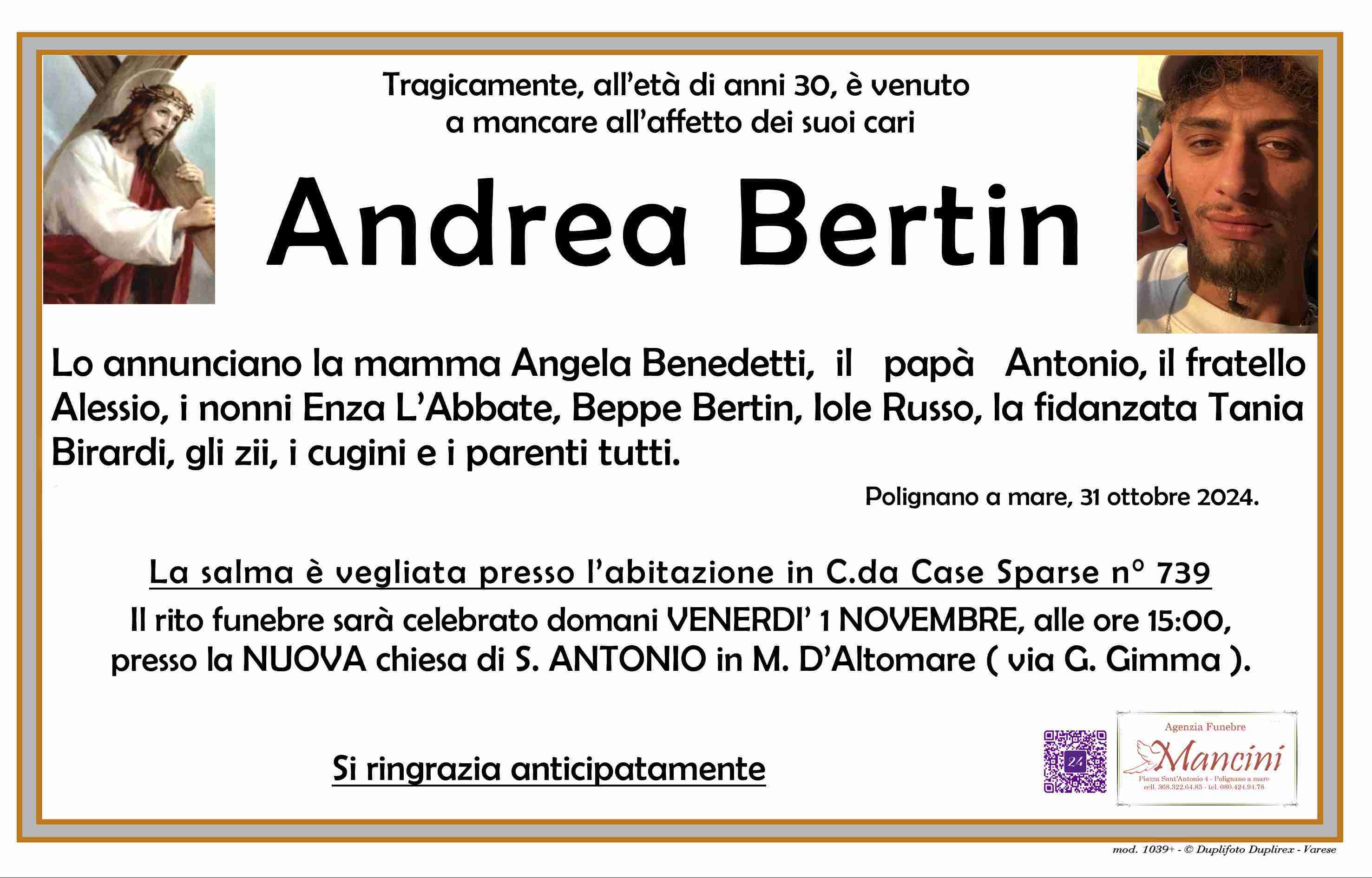 Andrea Bertin