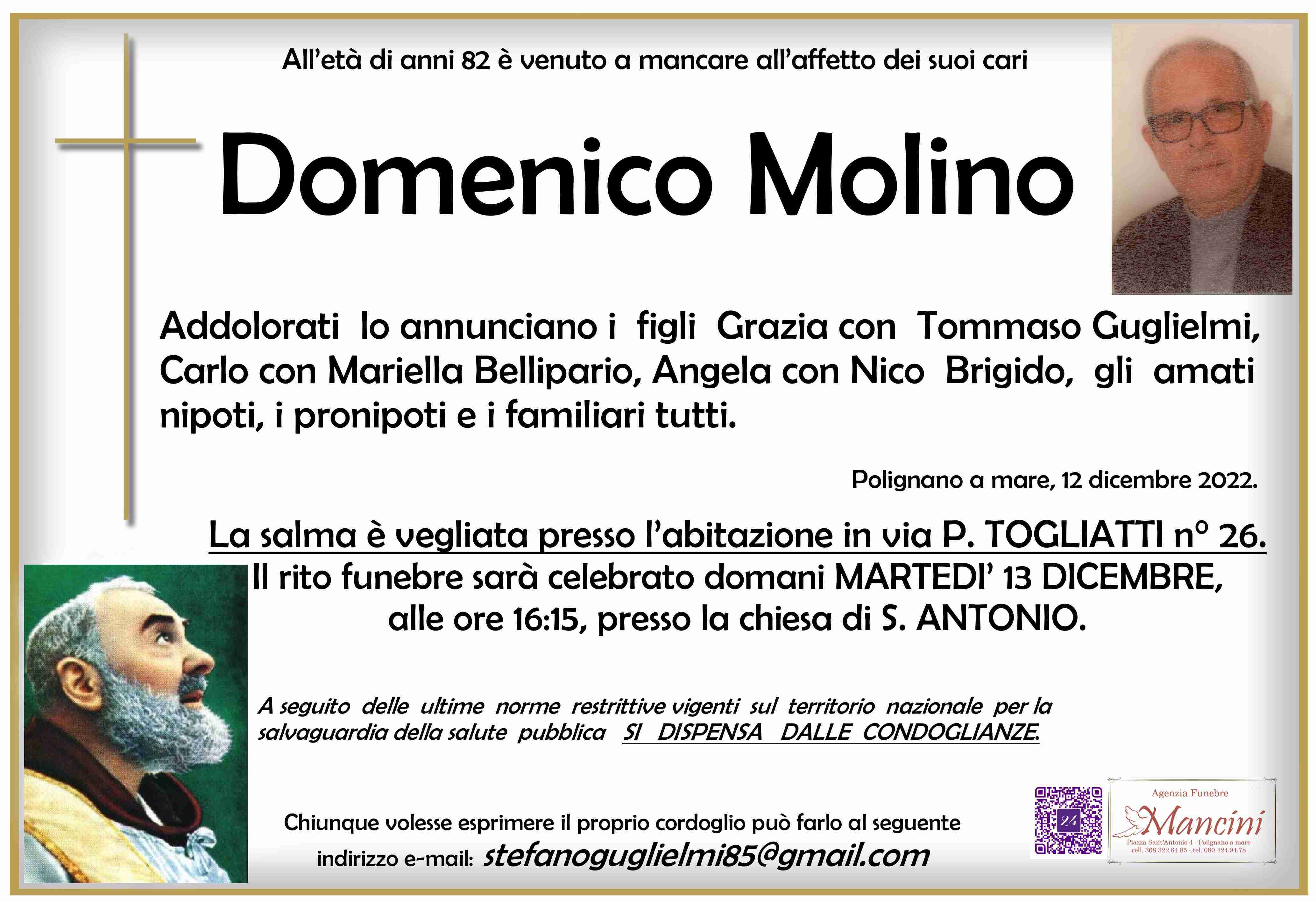 Domenico Molino